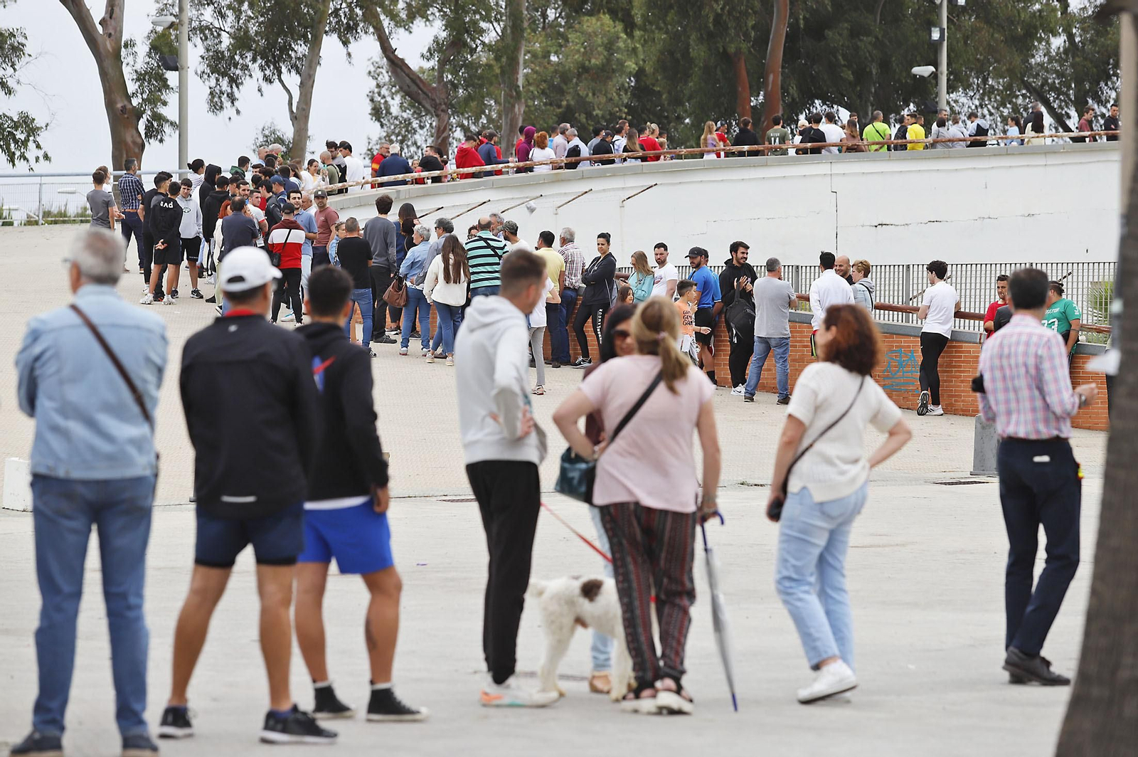 Largas colas para comprar las últimas entradas de la final del Recreativo de Huelva