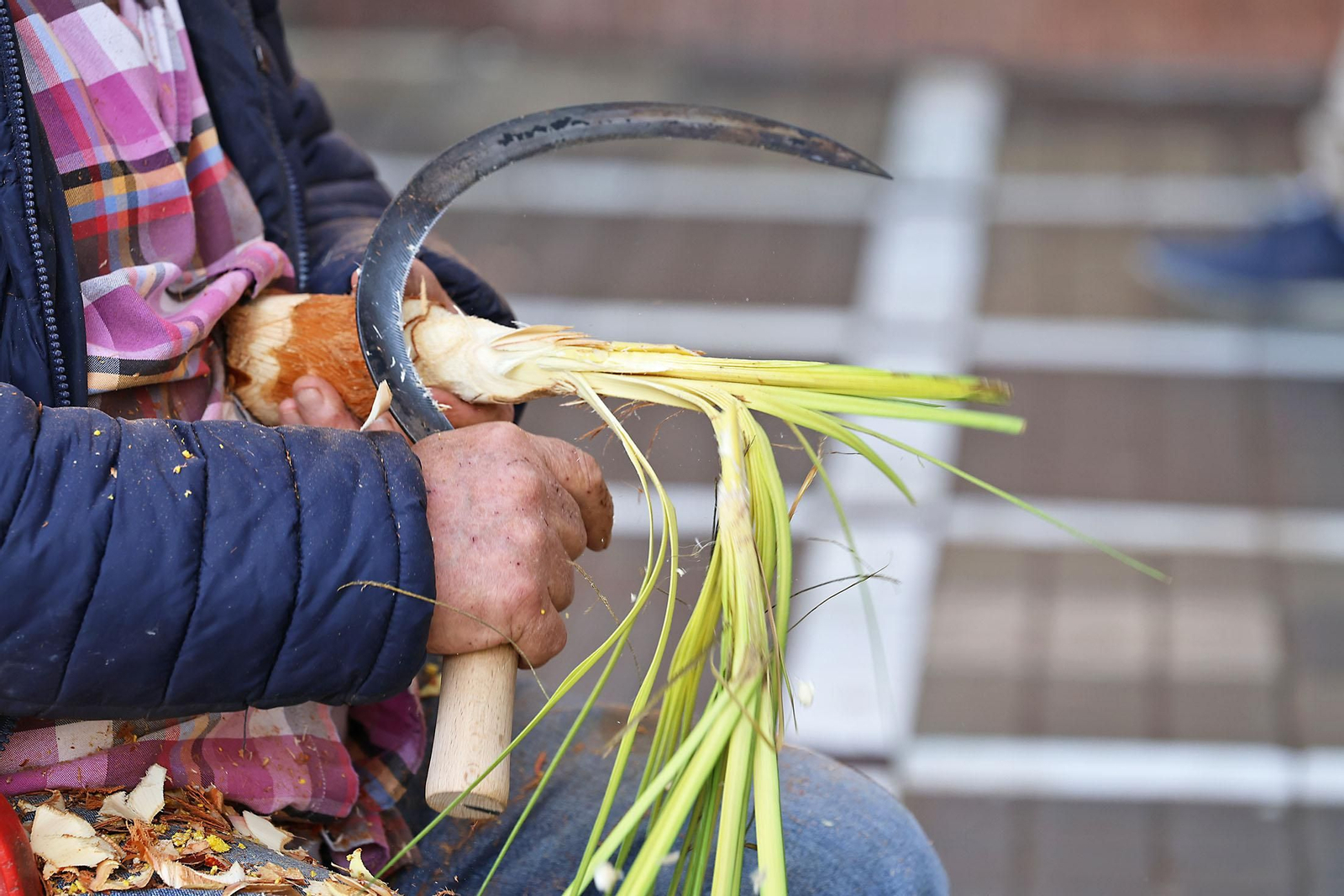Las imágenes más destcadas del domingo 26 de enero en Huelva
