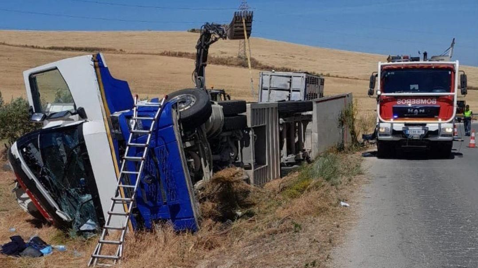 Camión de ganado porcino después del accidente
