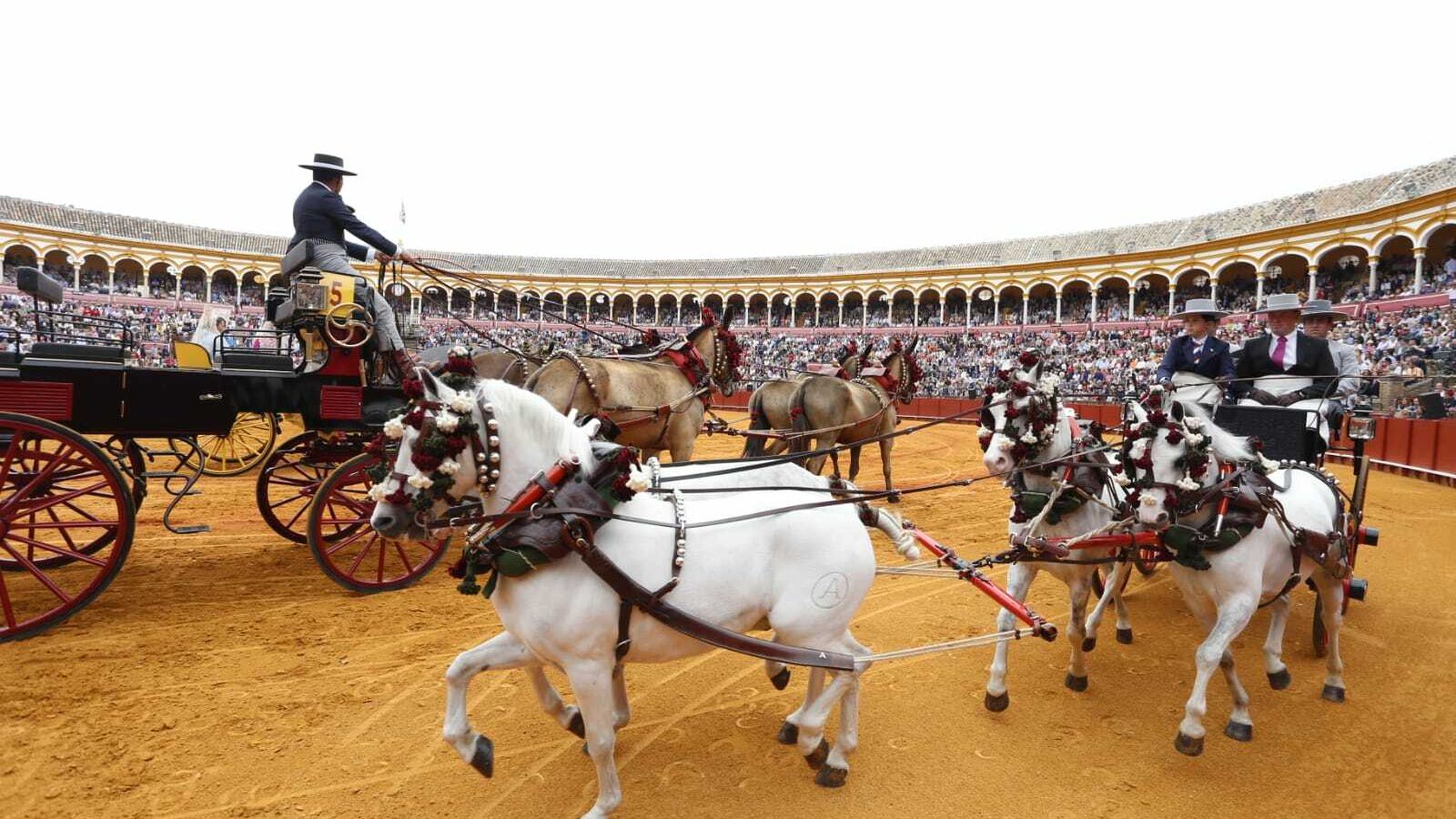 Exhibición de enganches en la Maestranza