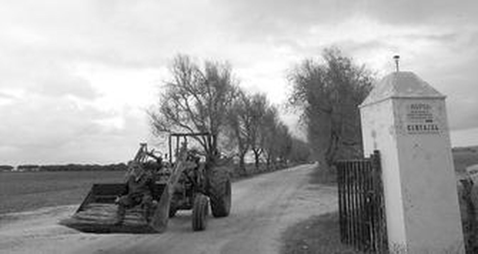 El cortijo, de más de 700 hectáreas, está situado en el kilómetro seis de la carretera entre Puerto Real y Paterna.