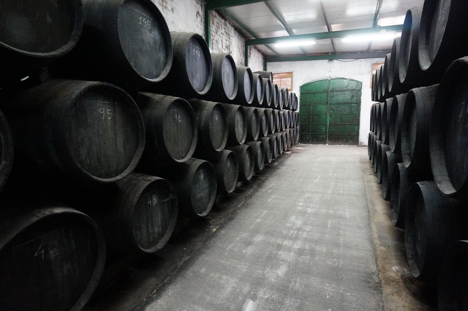 Un recorrido en fotografías por el vino nuevo de Moriles