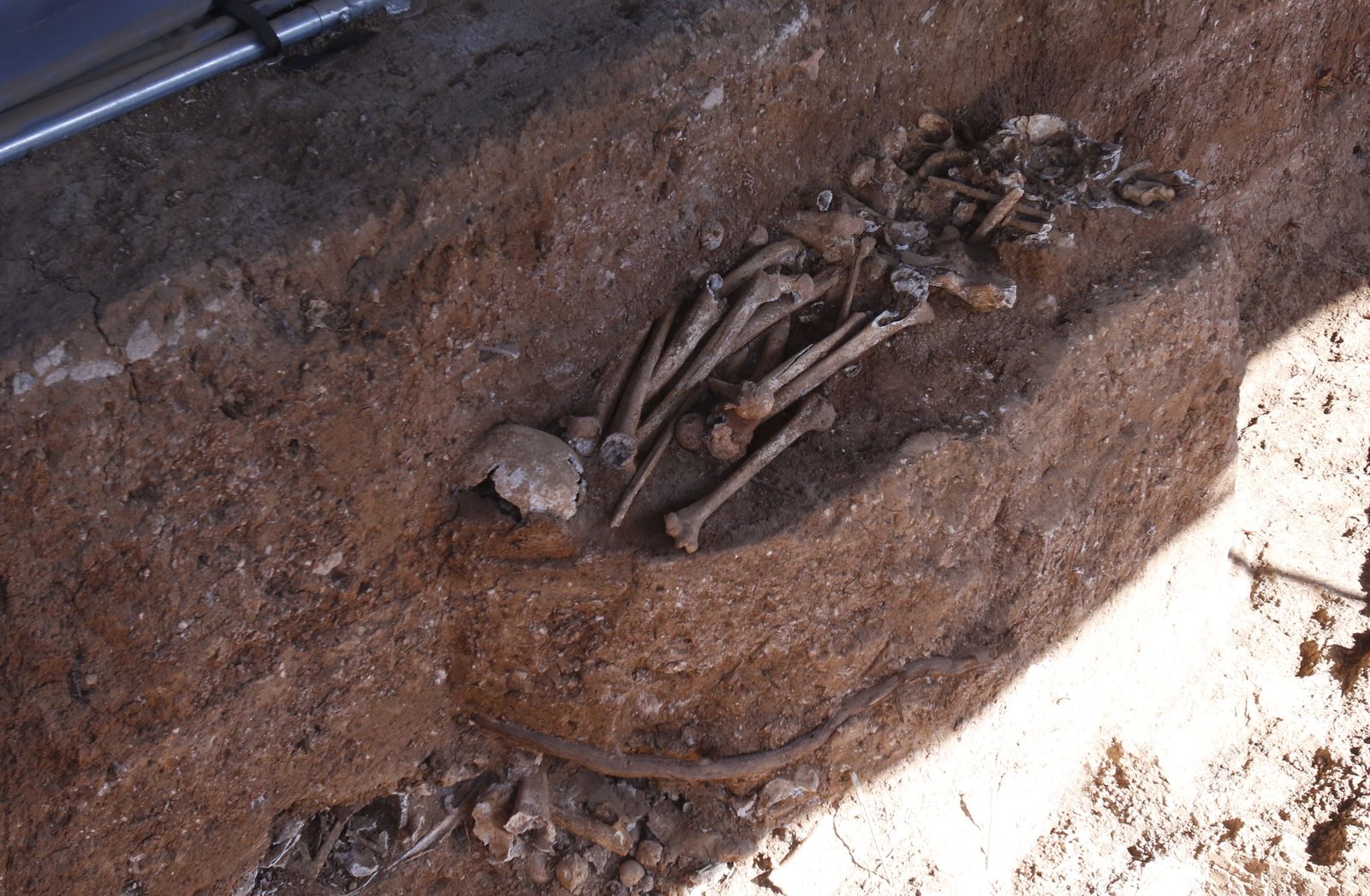 Visita a la fosa de Pico Reja