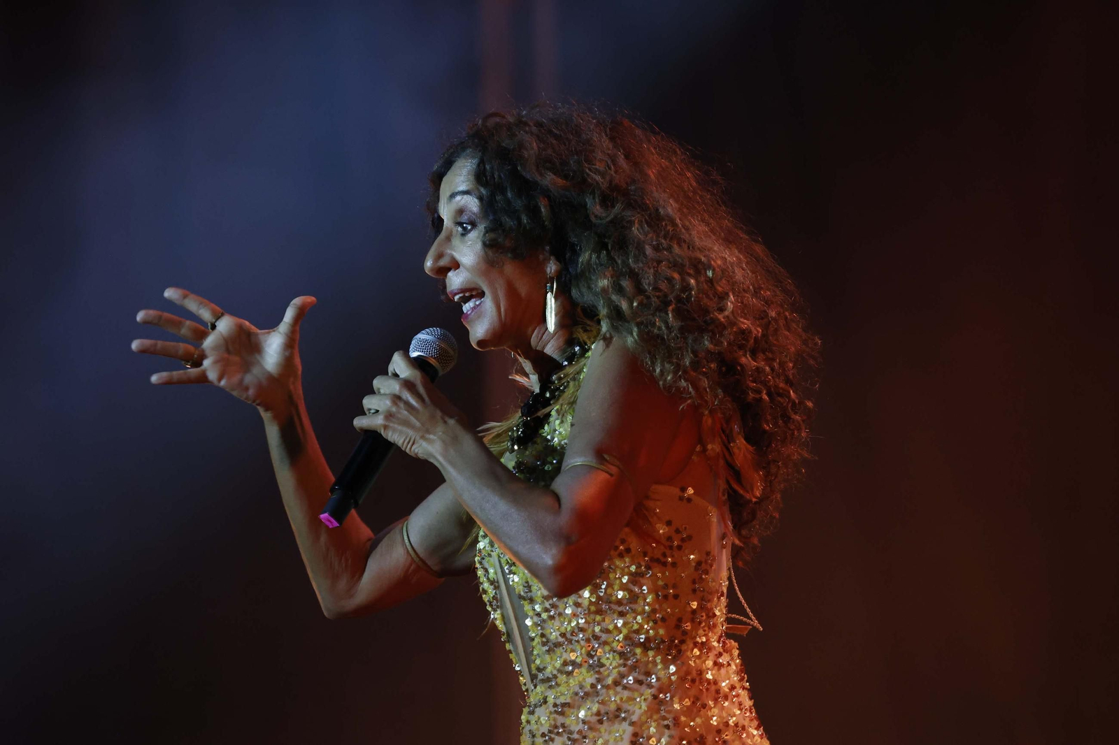 010 Concierto Rosario Flores.jpg