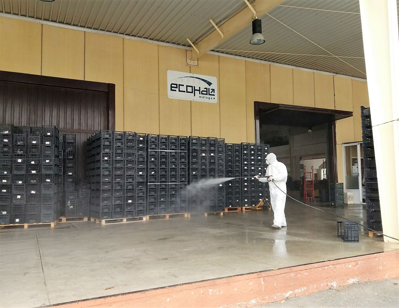 Labores de desinfección en el sector hortofrutícola en Torrox.