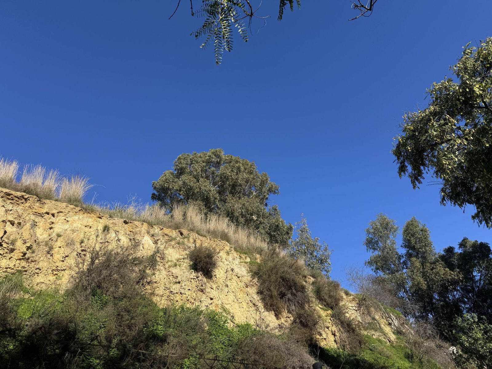 El Cabezo de la Joya.