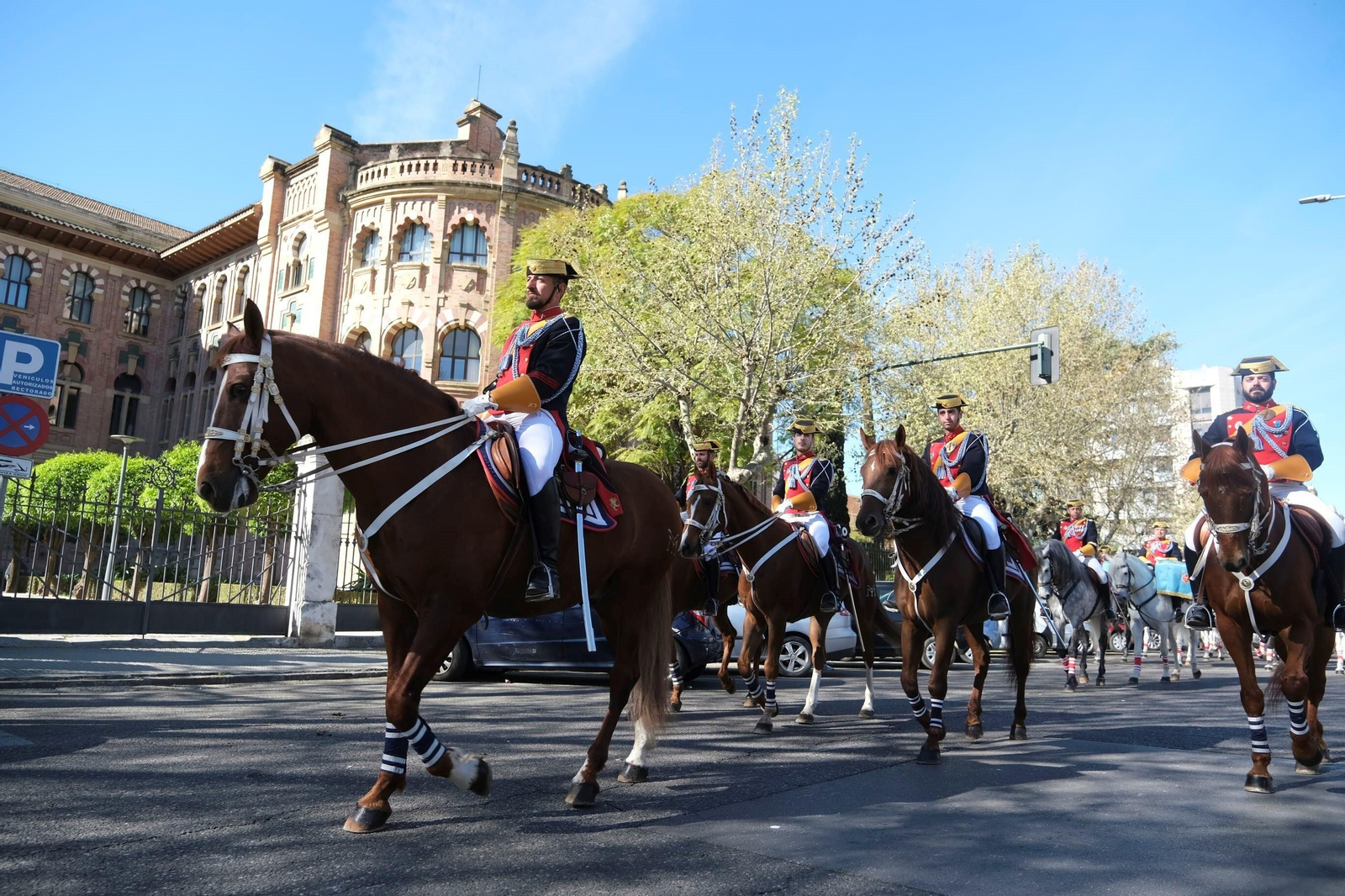 El desfile ecuestre con motivo de los 175 años de la Facultad de Veterinaria de Córdoba, en imágenes