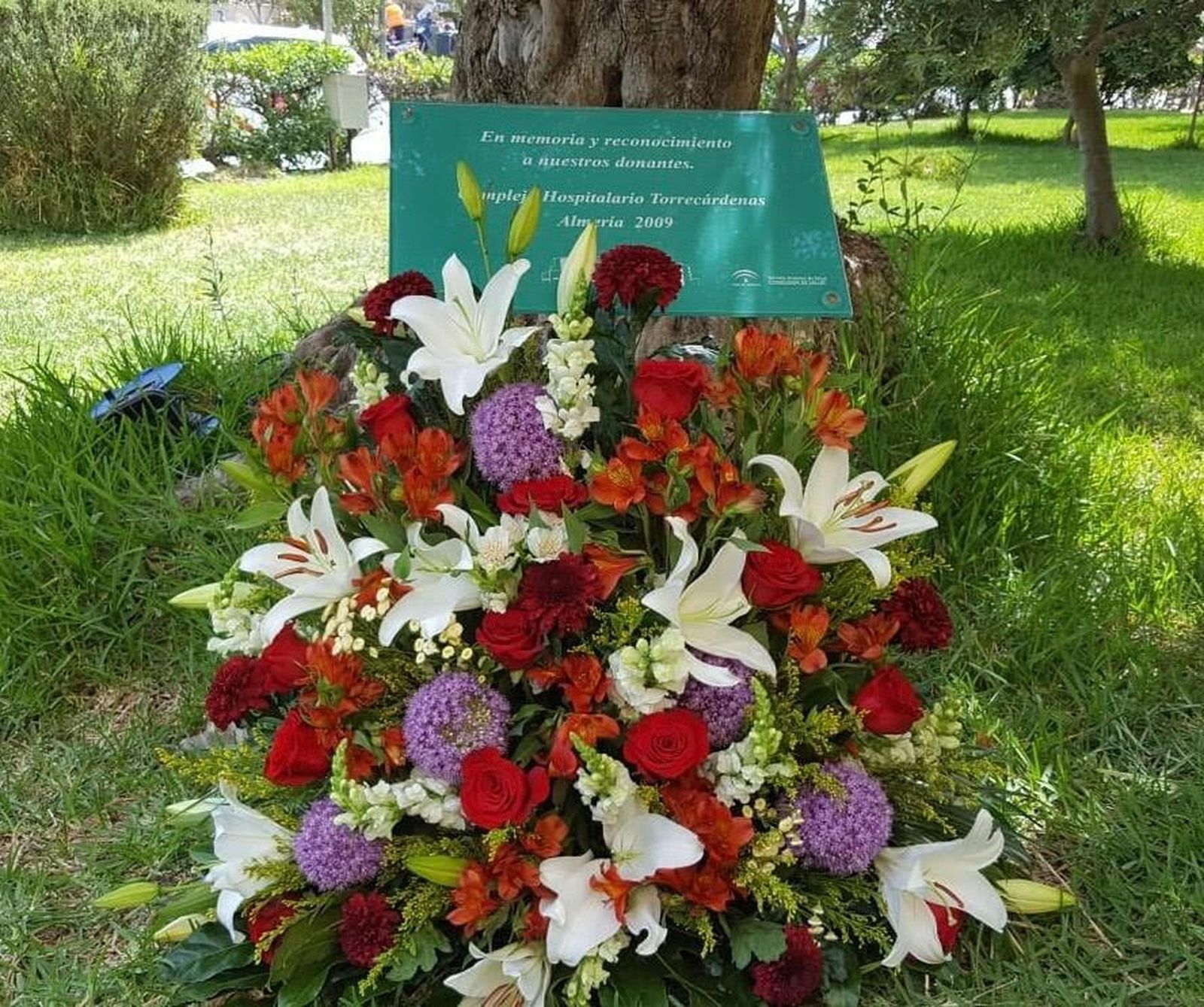 El Hospital Universitario Torrecárdenas agradece la solidaridad y generosidad de las familias de donantes de órganos