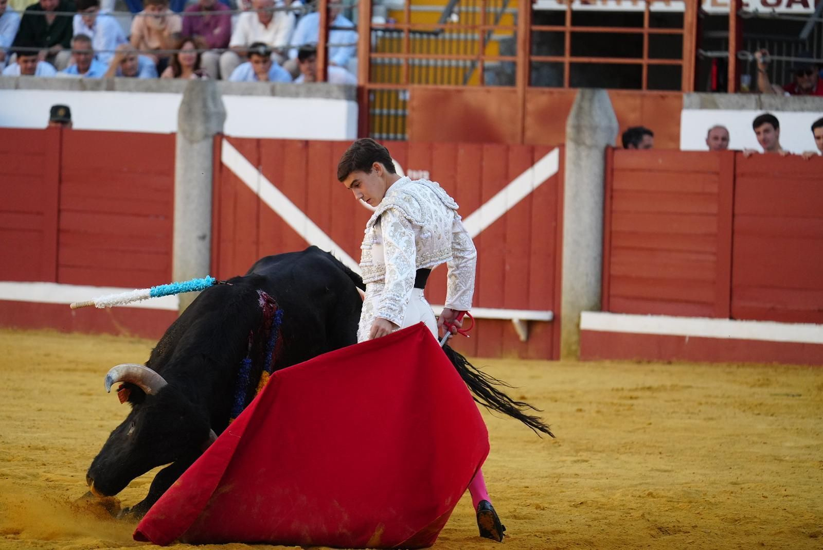 Las fotos del triunfo de Manuel Quintana en la feria taurina de Pozoblanco