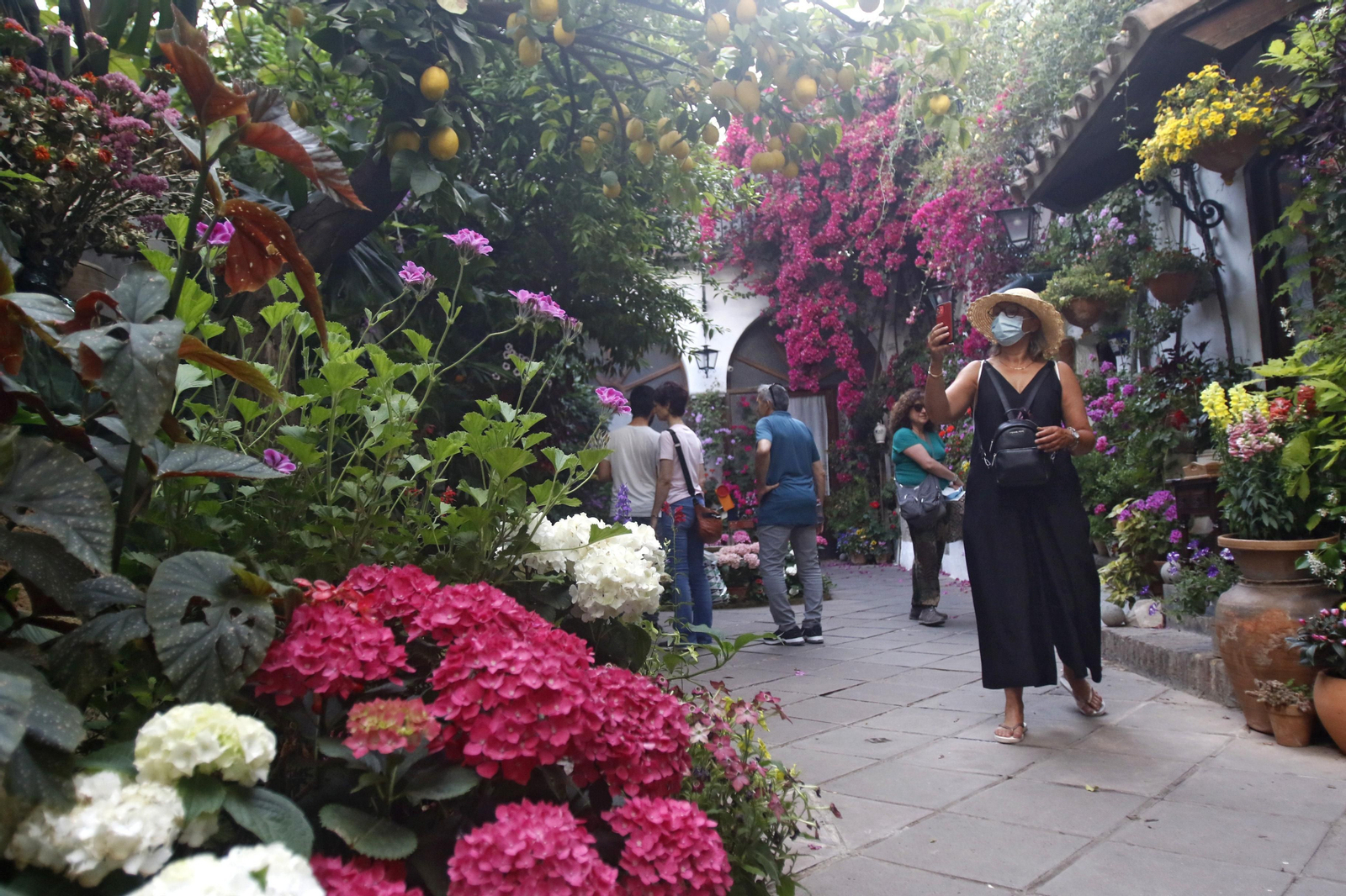 Patio de la Palma, 3