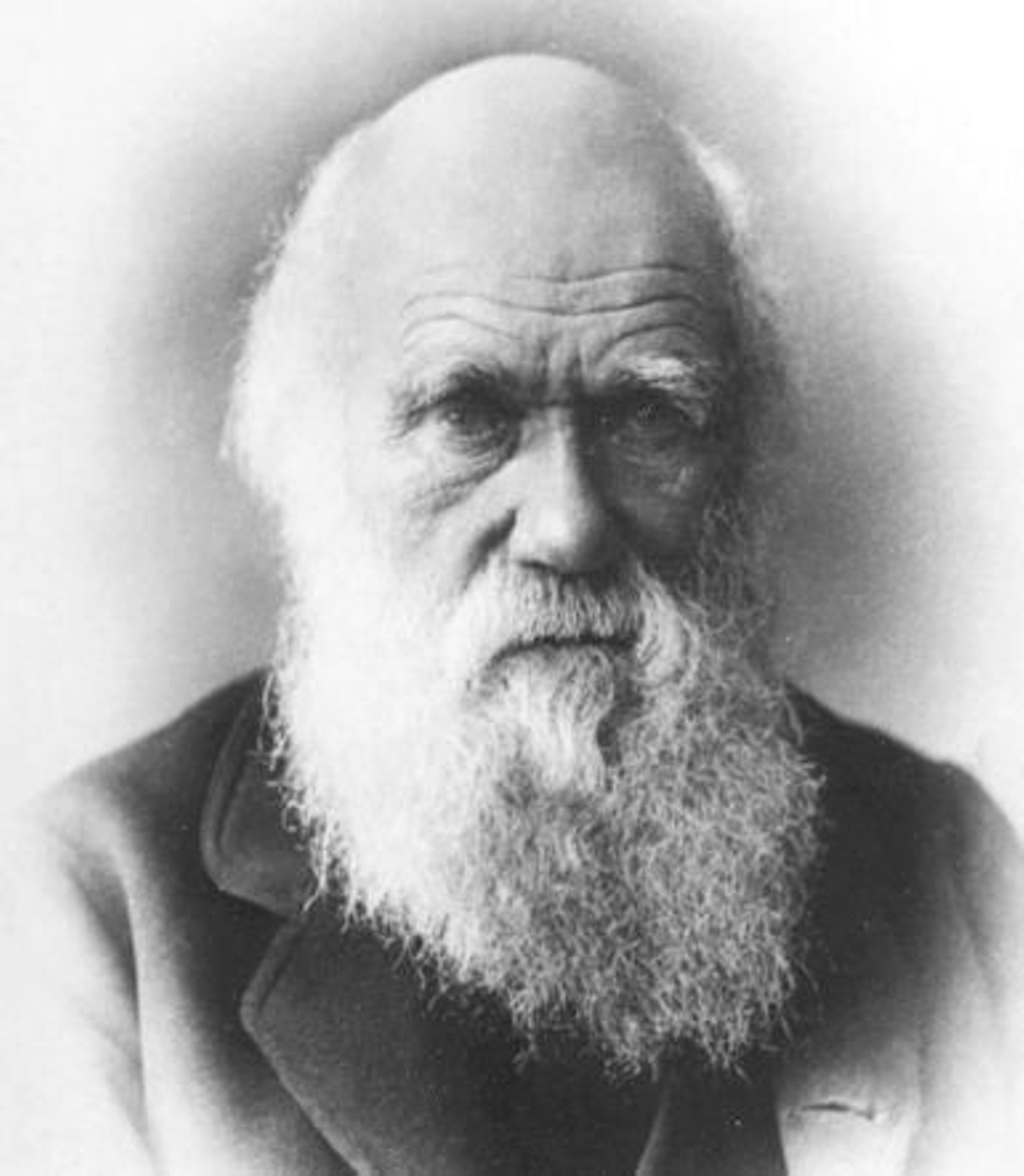 Llega el Año Darwin a Granada