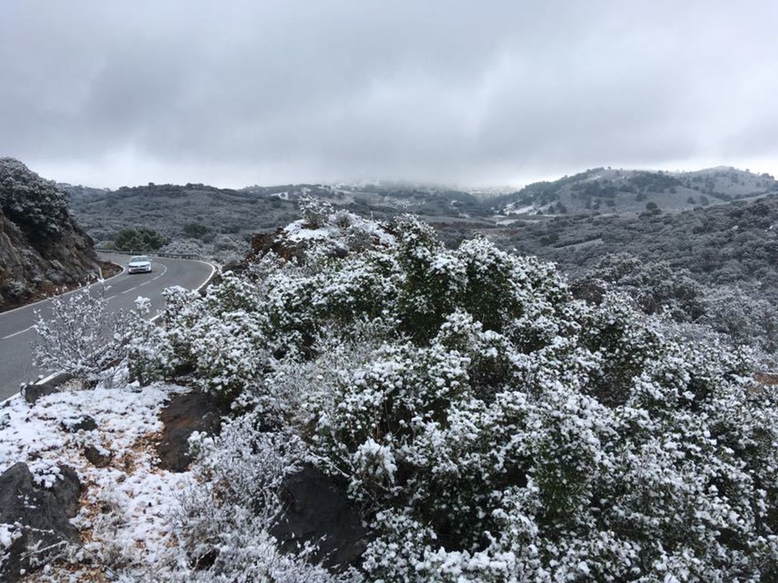 Nevada en Ronda.