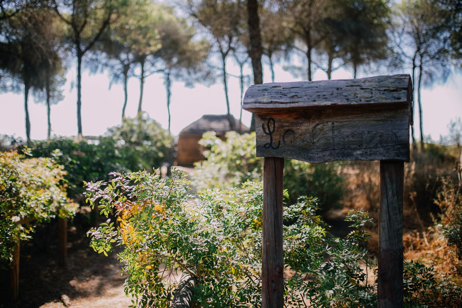 Un recorrido fotográfico por el Paraje Natural Marismas del Odiel