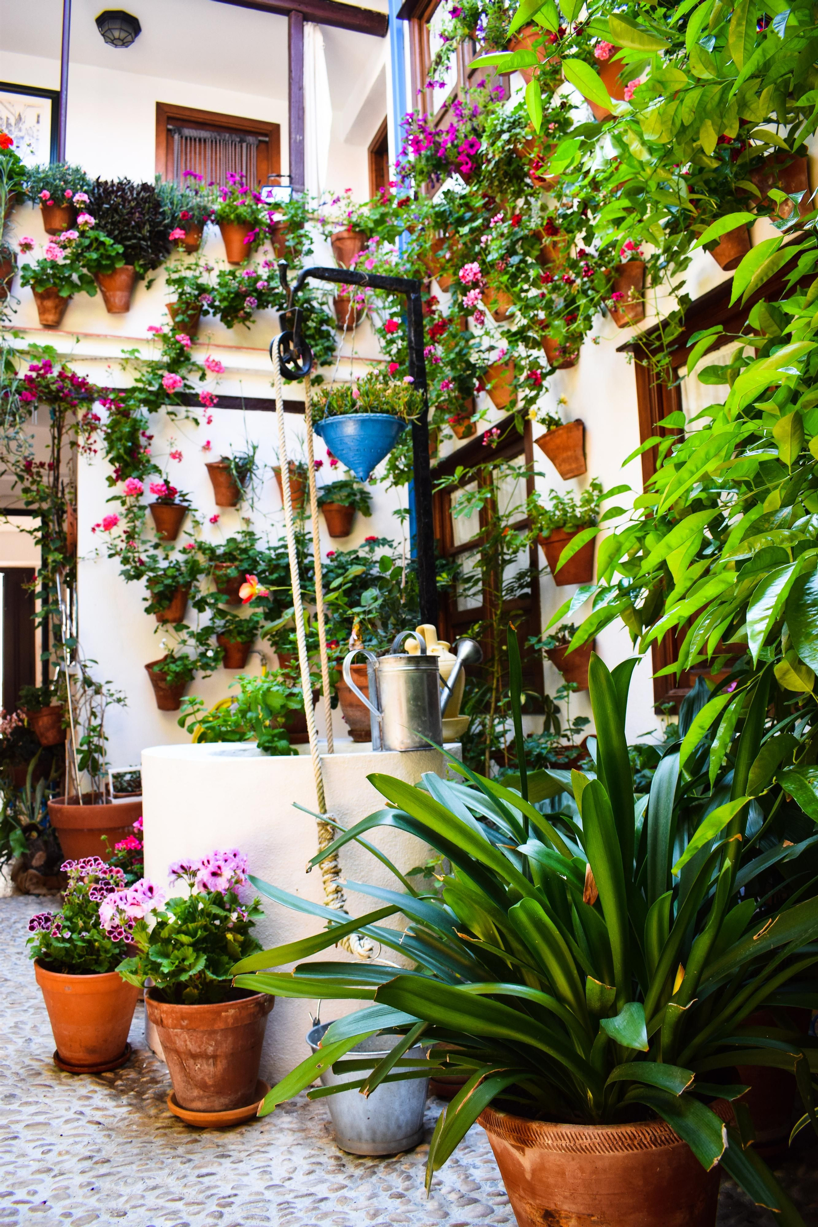 RUTA REGINA-REALEJO: PEDRO VERDUGO 8