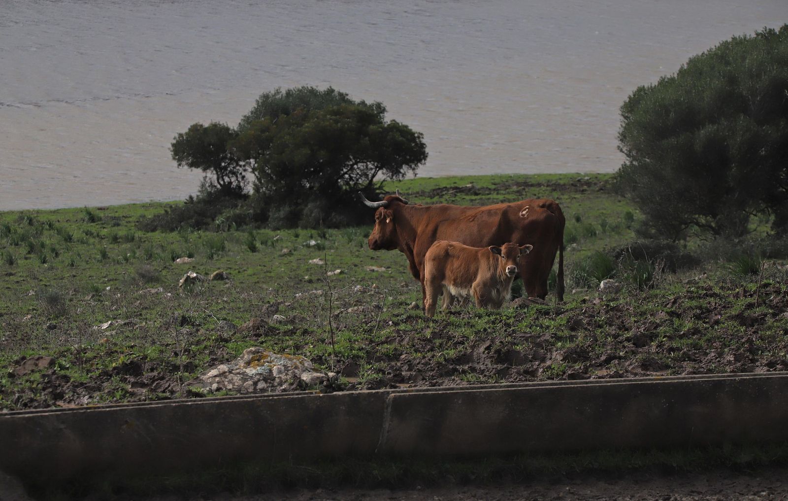Fotos del embalse de Almodóvar en Tarifa