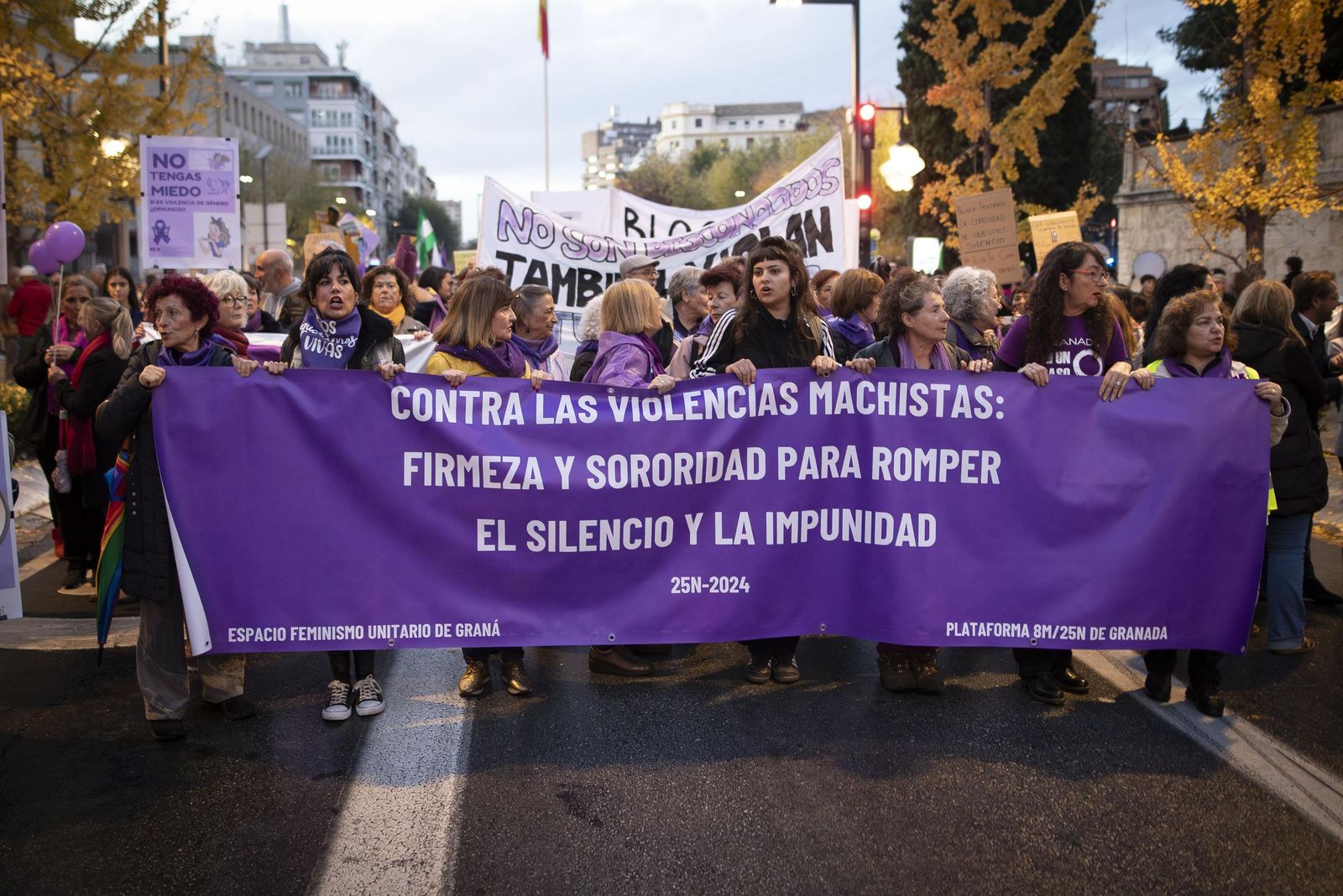 Todas las imágenes de la movilización de Granada contra la violencia machista este 25N