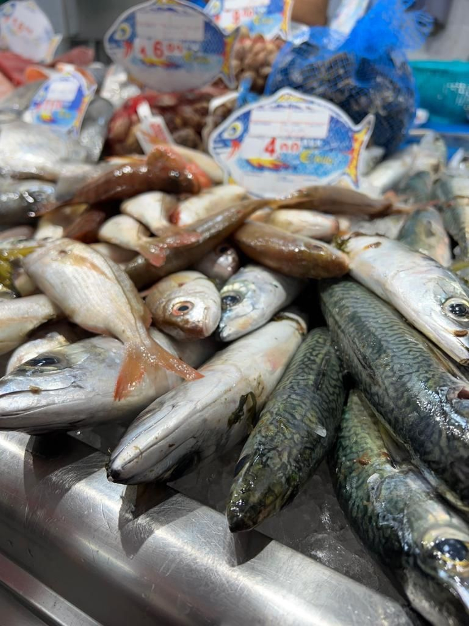 Una mañana de compras en el Mercado Ingeniero Torroja de Algeciras, en imágenes.