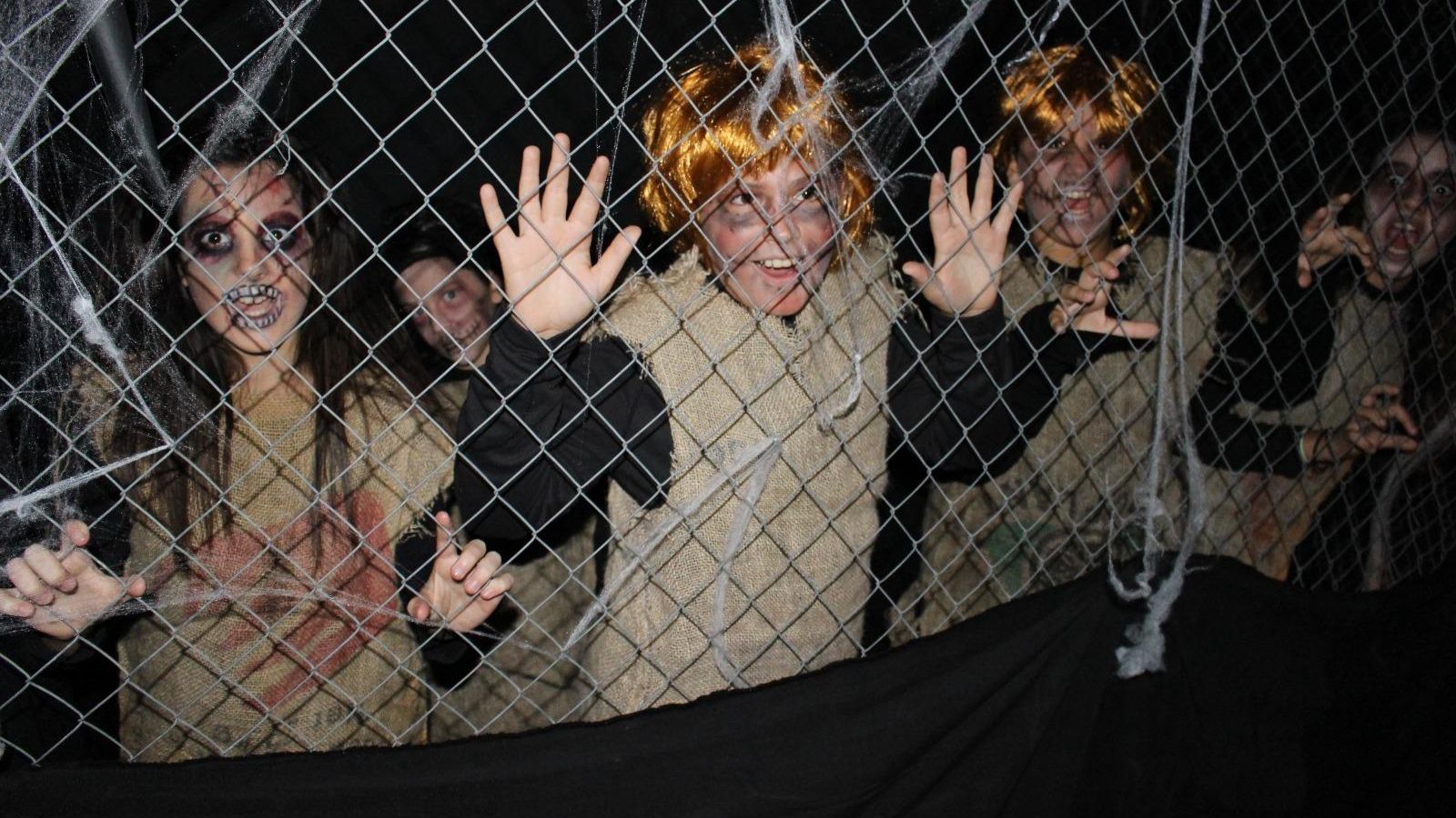 Actividades en Puerto Real.