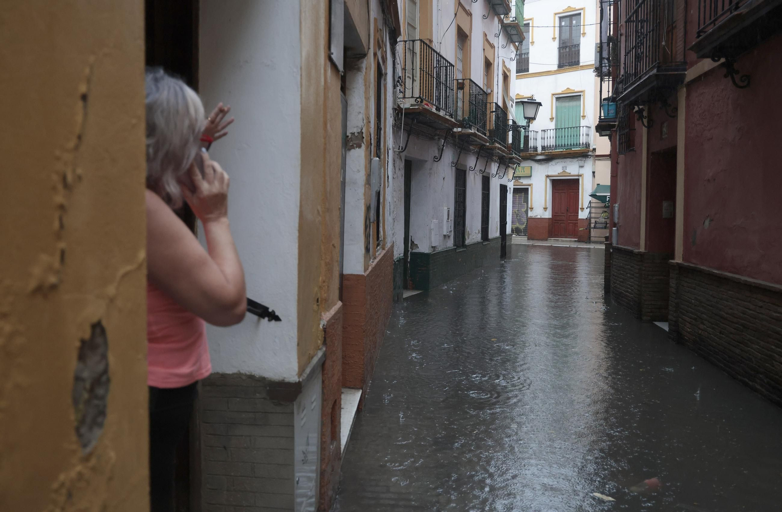 El centro de Sevilla anegado, todas las fotos.