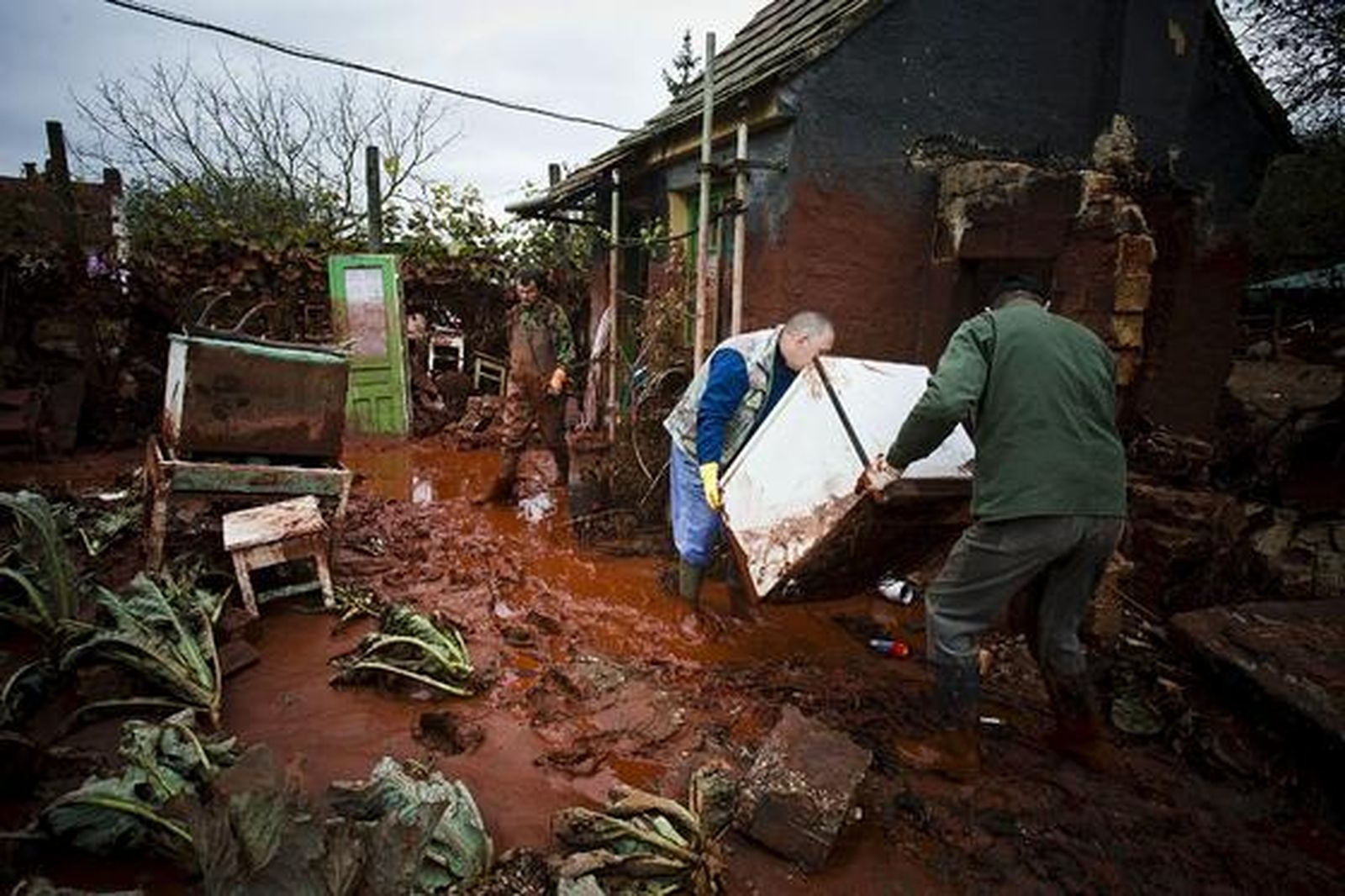 Foto: EFE / AFP / Reuters