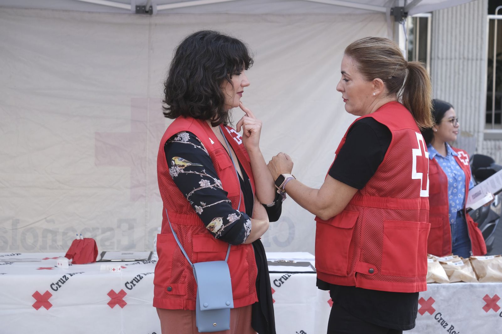 Día de la Banderita de Cruz Roja en Córdoba, en imágenes