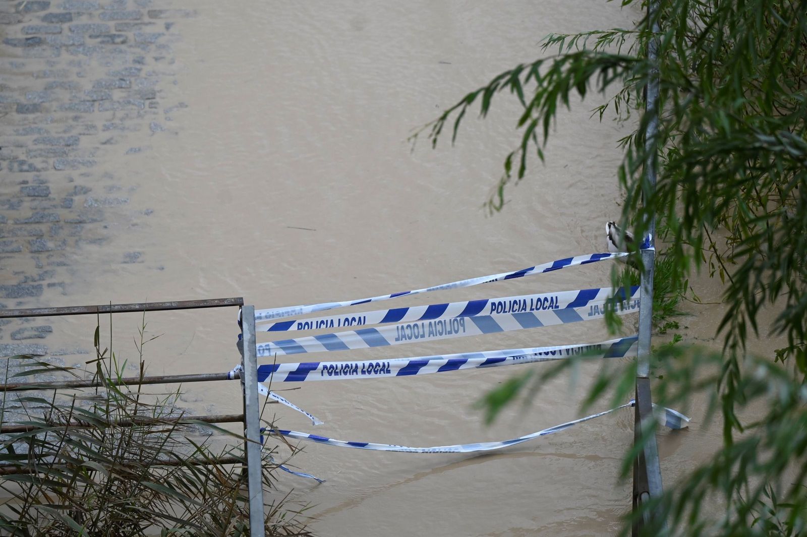 El cauce del río Guadalquivir a su paso por Córdoba tras la borrasca Kristin