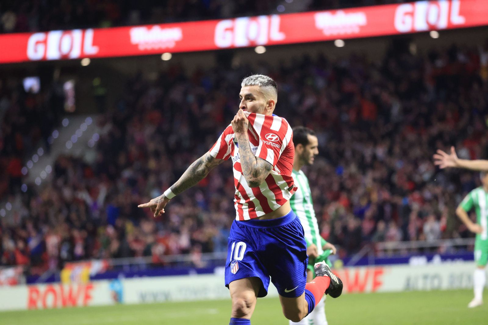 Las fotos del Atlético Madrid - Betis