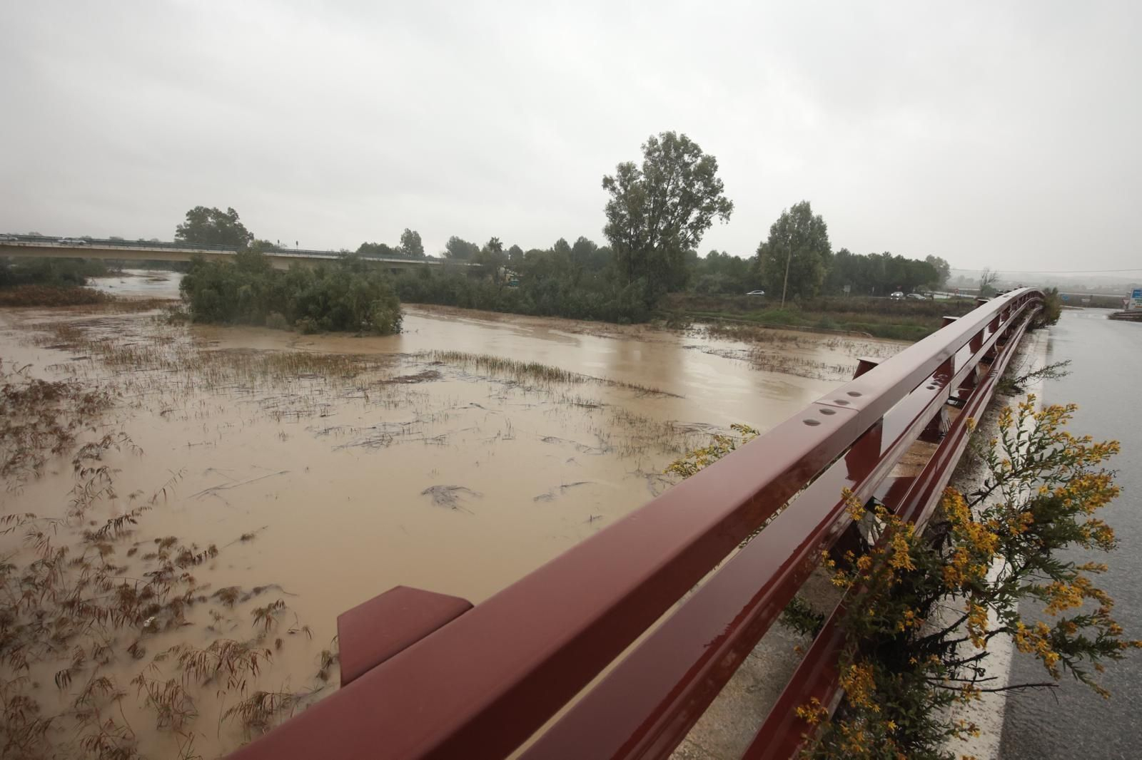 Una imagen de este jueves del río Guadalete. Una imagen de este jueves del río Guadalete.