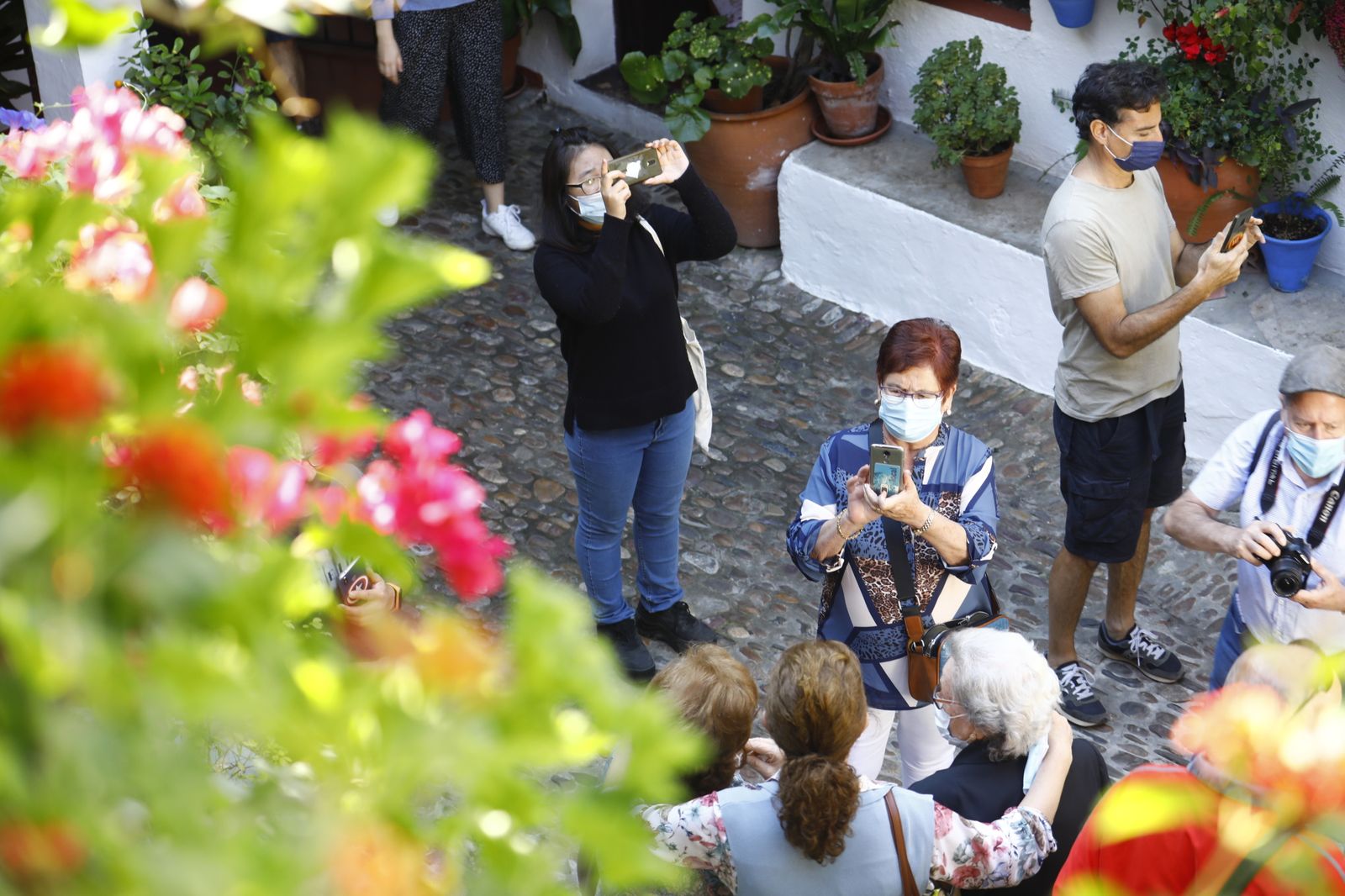 Las fotografías del primer día de apertura de los Patios de Córdoba en otoño