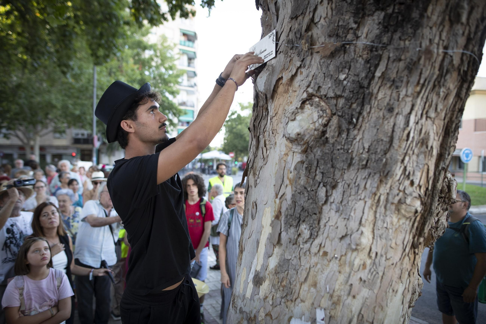 Vecinos de la Avenida Cervantes de Granada amadrinan sus árboles para evitar la tala