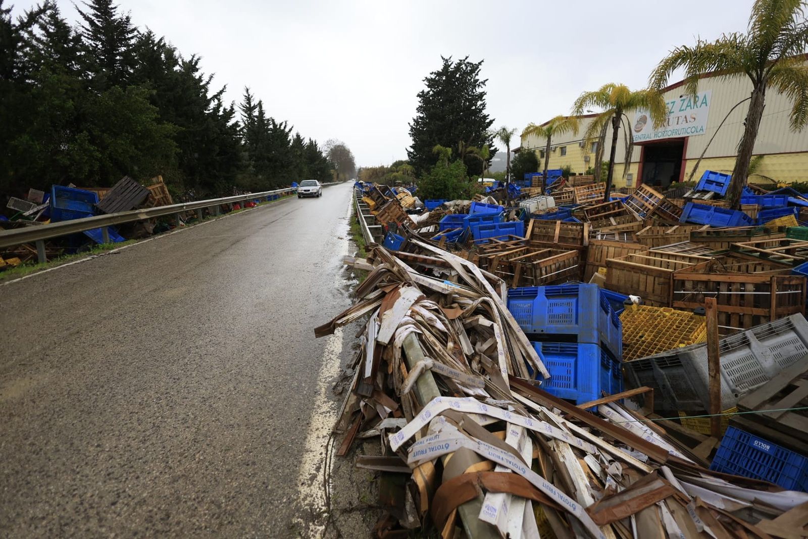 Daños en el sector agrícola y en los cultivos del Valle del Guadiaro.