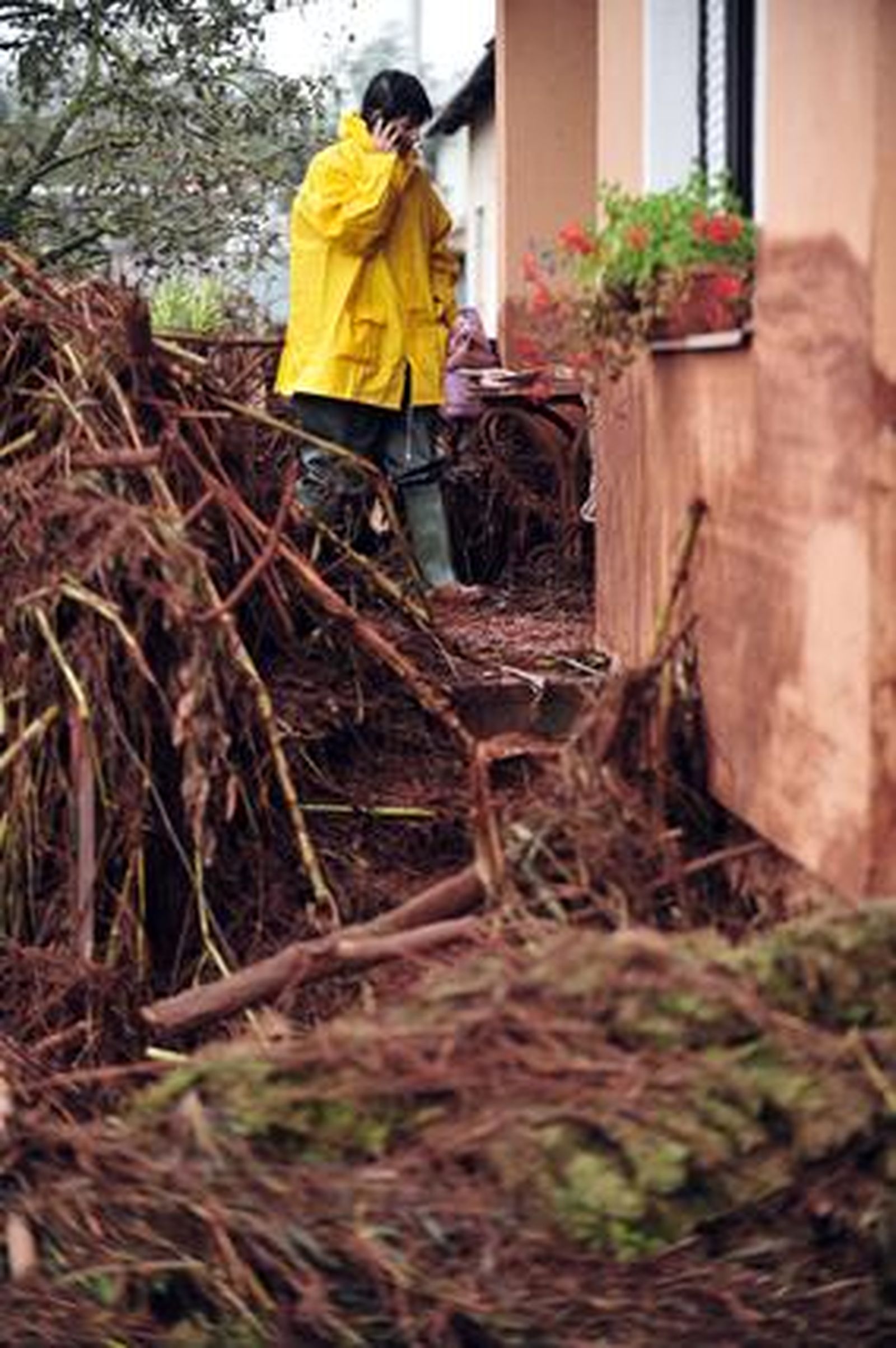Foto: EFE / AFP / Reuters