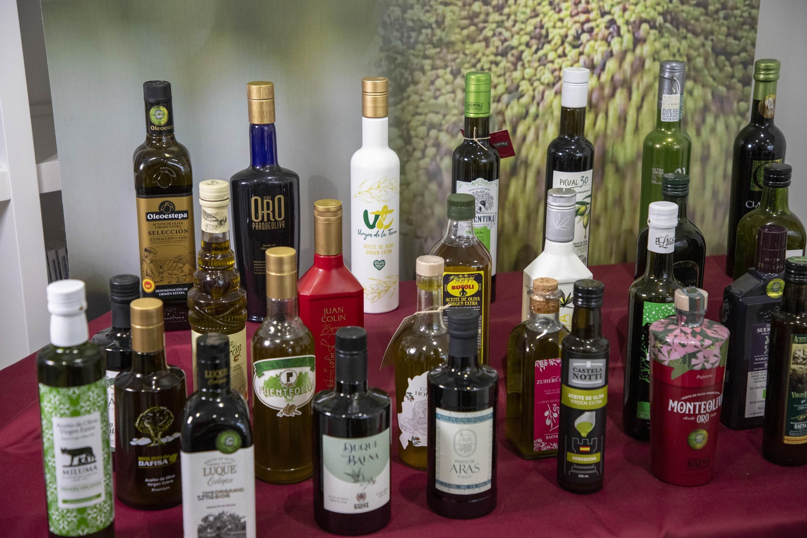 La cata para elegir los mejores aceites de oliva virgen extra de Córdoba, en imágenes