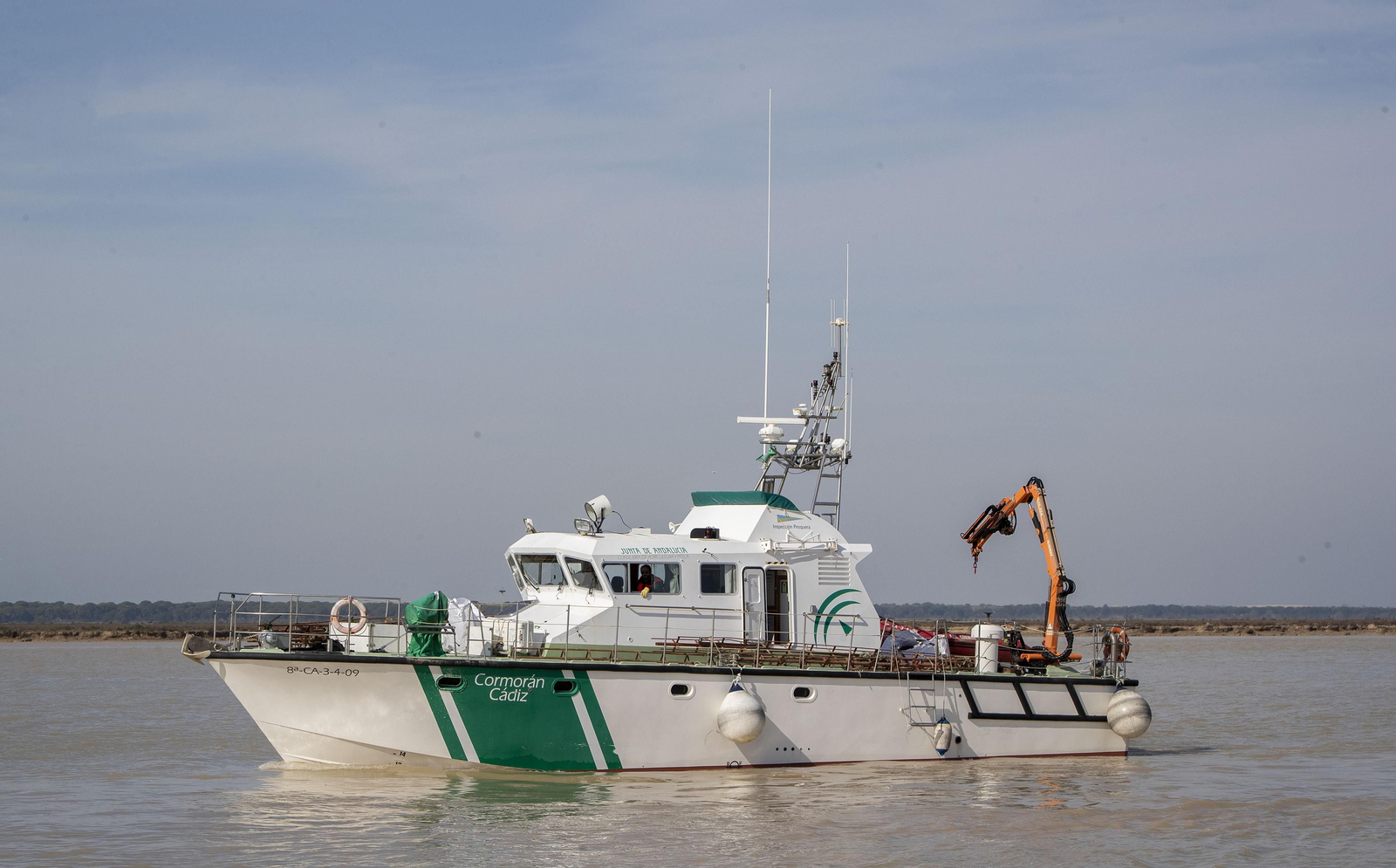 Operación Ave  fenix contra la pesca  de la angula