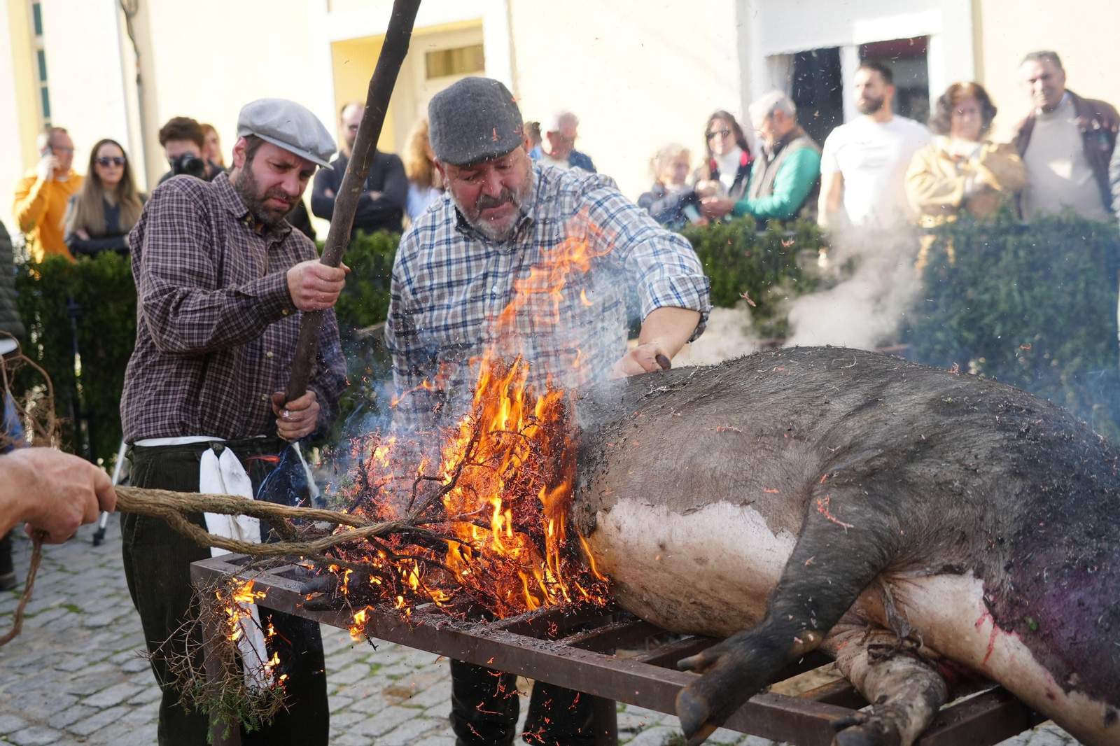 Alcaracejos celebra su Fiesta de la Matanza, en imágenes