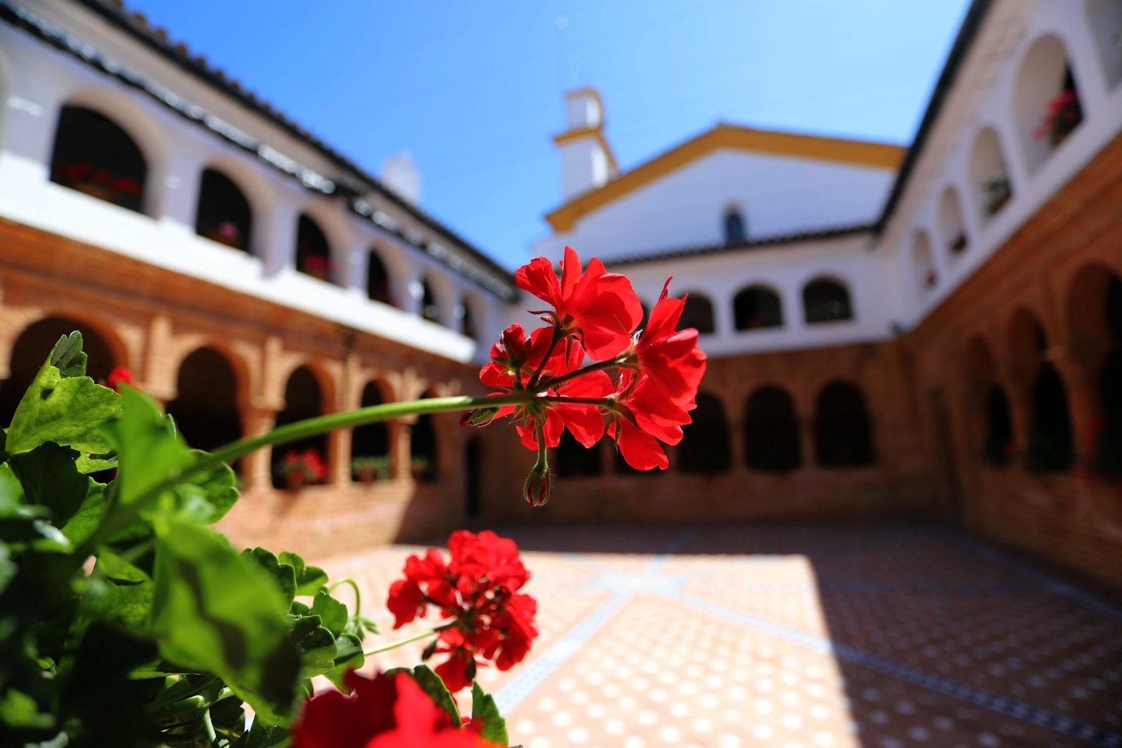 Estado de deterioro en el que se encuentra las pinturas murales del patio mudéjar de La Rábida.
