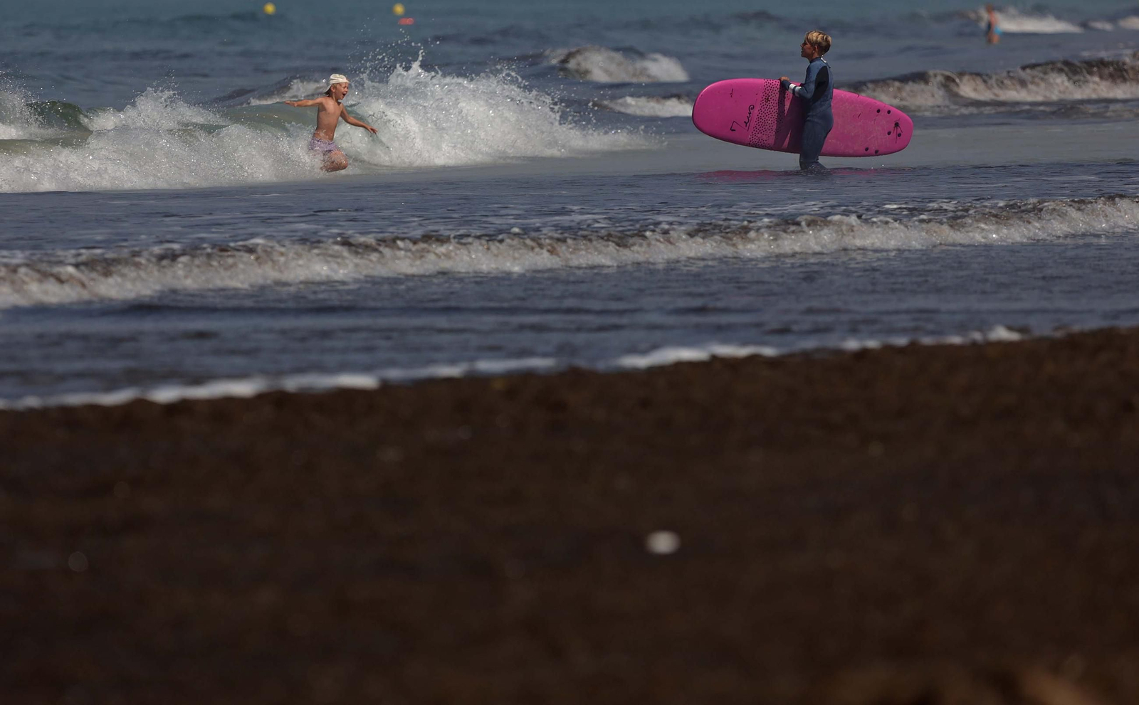 El alga invasora cubre de nuevo la playa de Los Lances en Tarifa