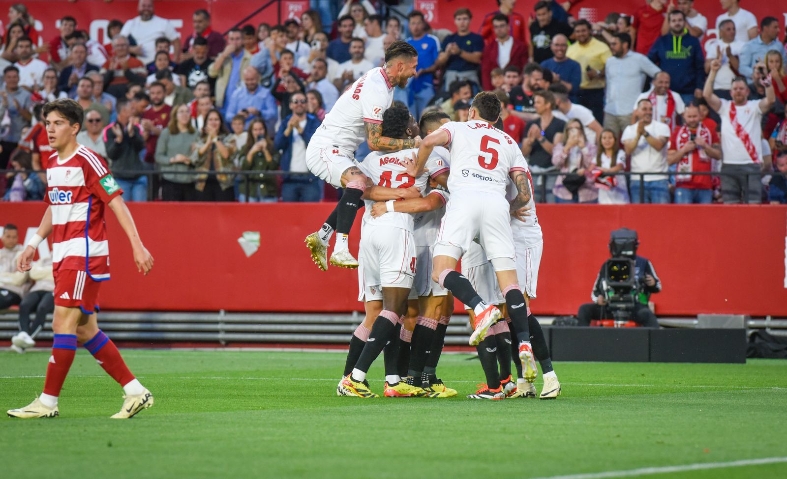 Las imágenes del Sevilla FC - Granada CF