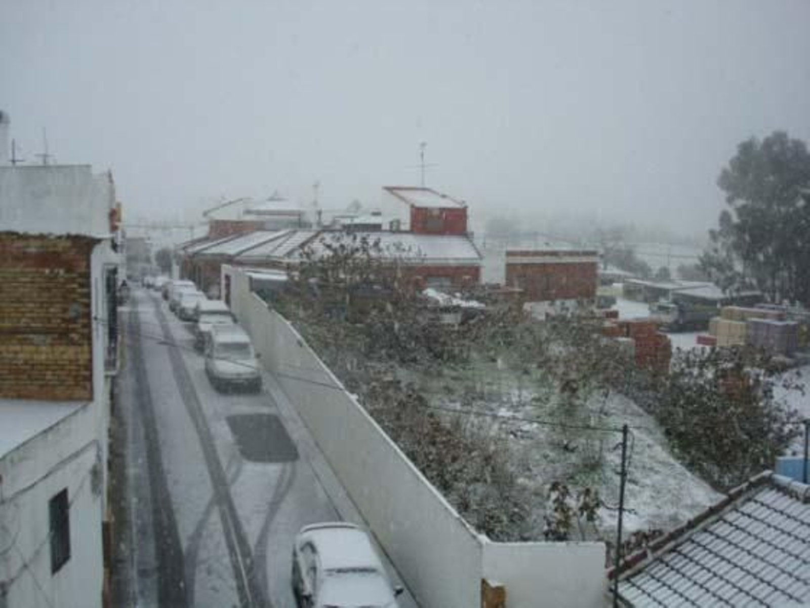 Foto: Carlos Muñoz, Edu, Auxi Nuevo, José Puerto