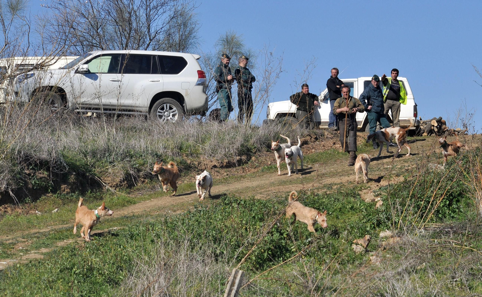 Una patrulla del Servicio de Protección de la Naturaleza (Seprona) de la Guardia Civil vigila a unos rehaleros. Una patrulla del Servicio de Protección de la Naturaleza (Seprona) de la Guardia Civil vigila a unos rehaleros.