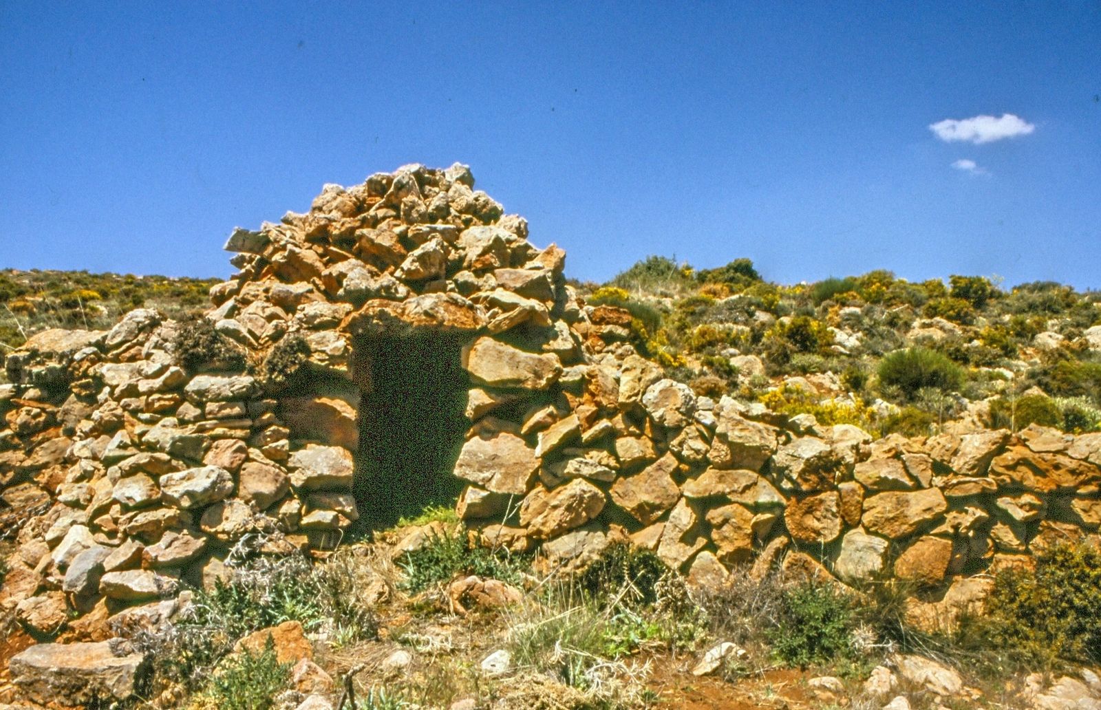 La estructura de la ganadería ovina y caprina de Dalías en 1751.