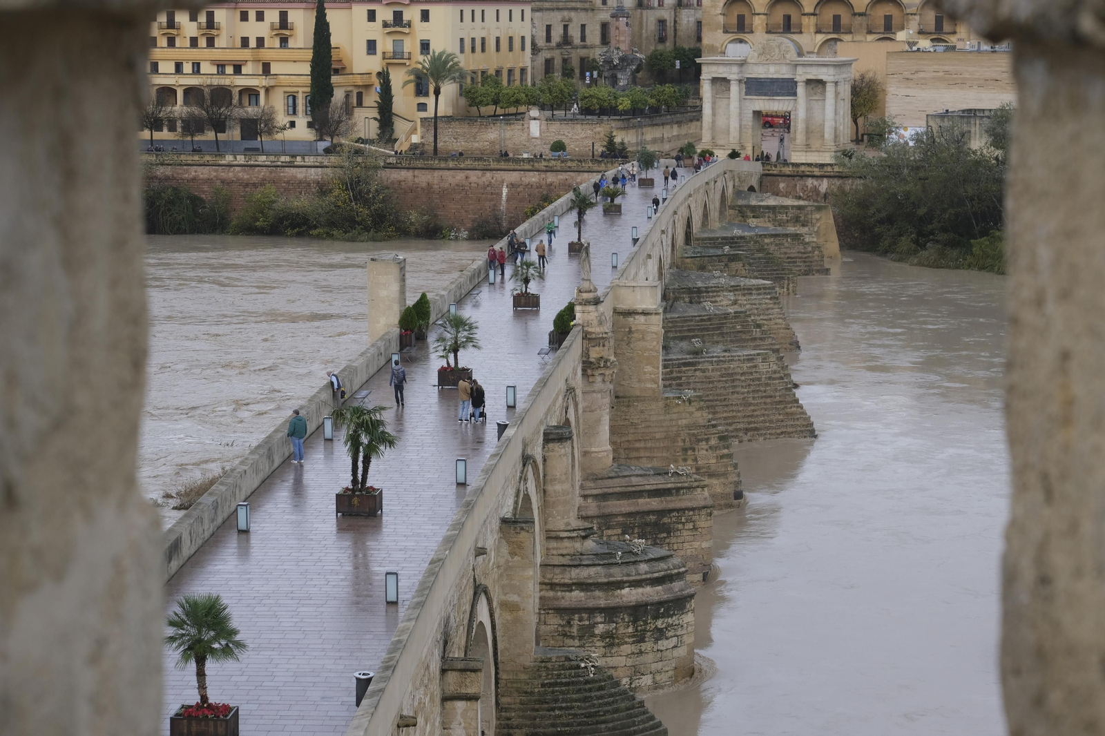 La crecida del río Guadalquivir tras las lluvias en Córdoba, en imágenes