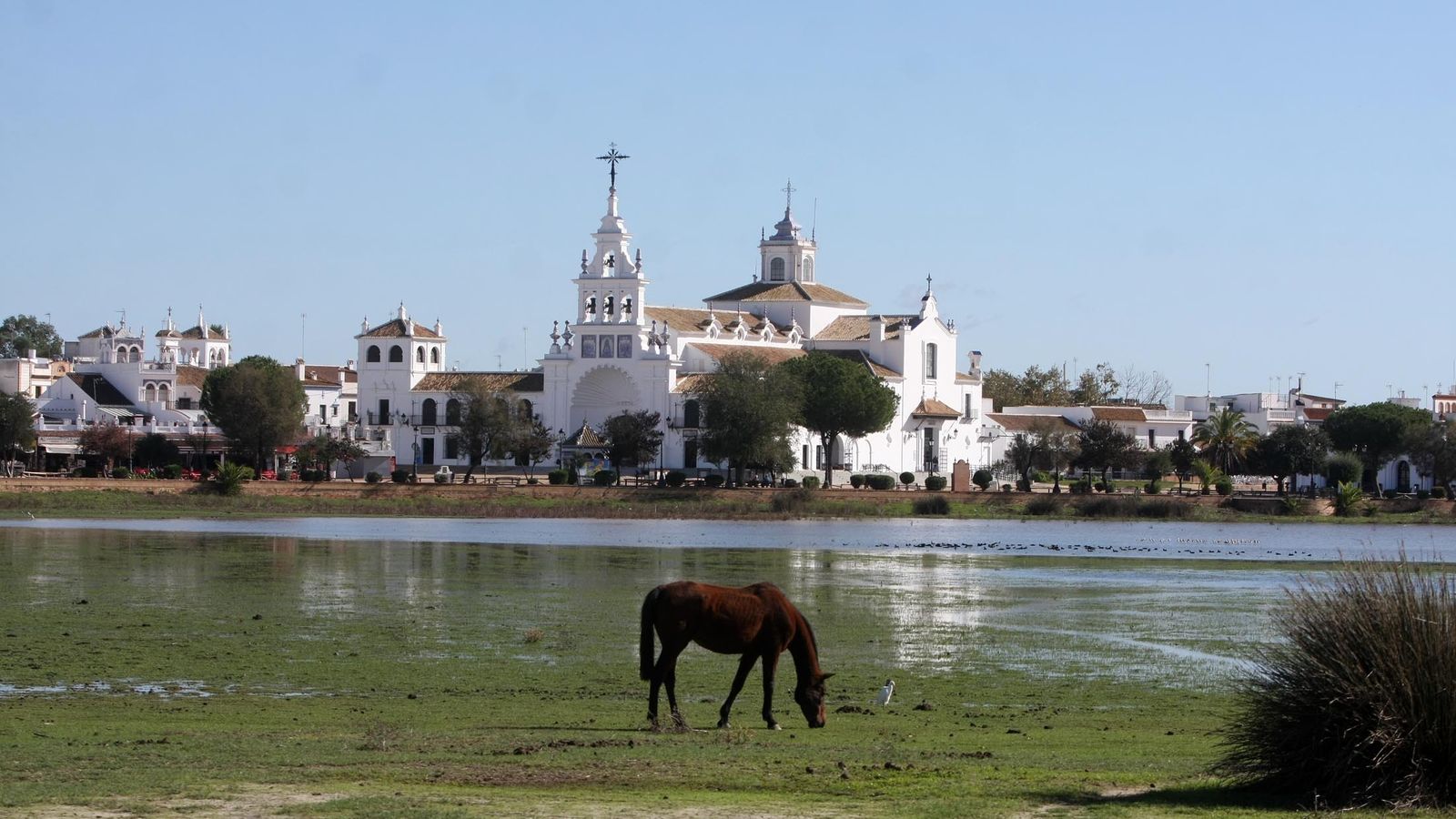Imágenes de la marisma de El Rocío y de la laguna de El Portil tras las últimas lluvias