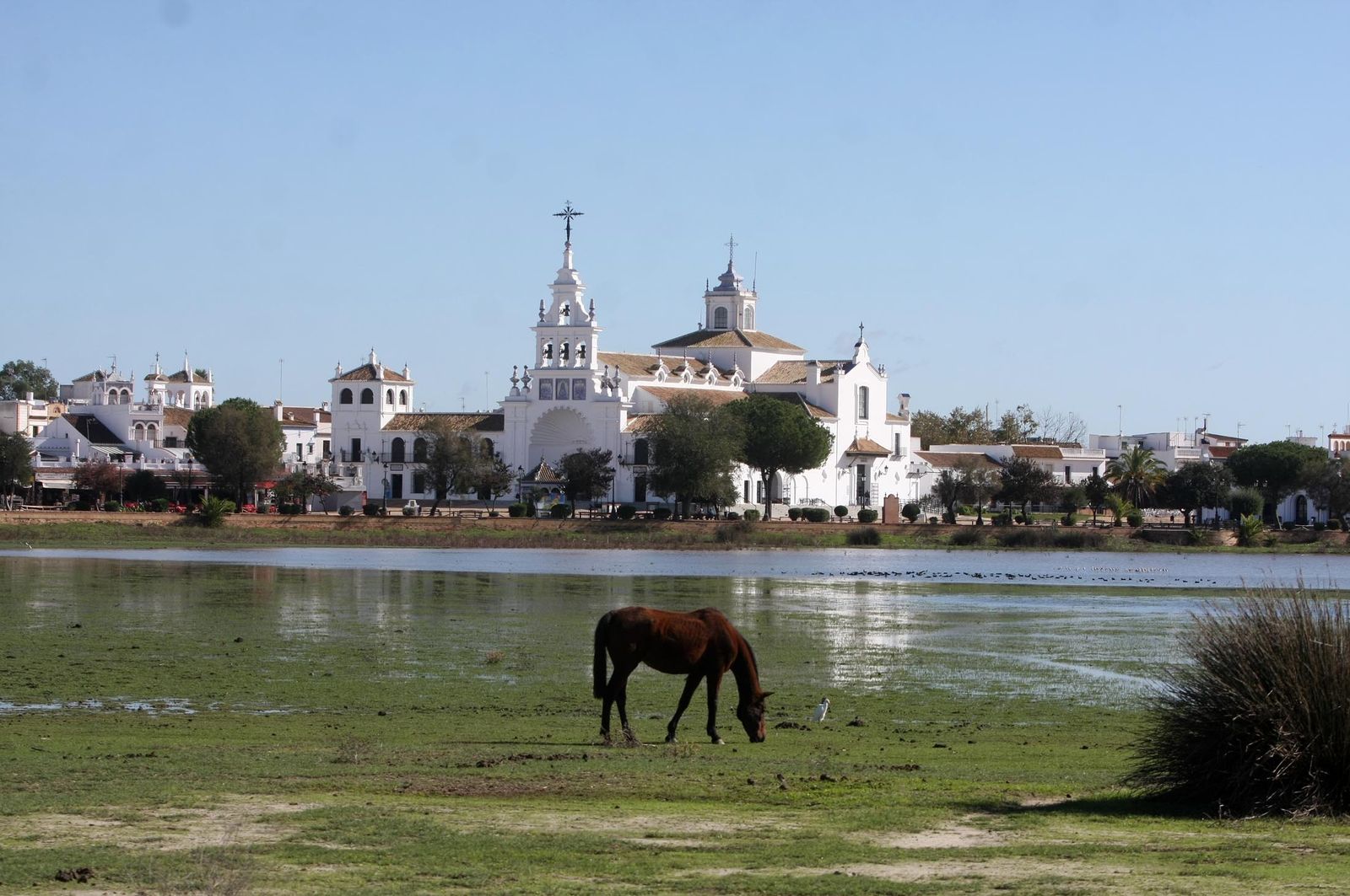 Imágenes de la marisma de El Rocío y de la laguna de El Portil tras las últimas lluvias