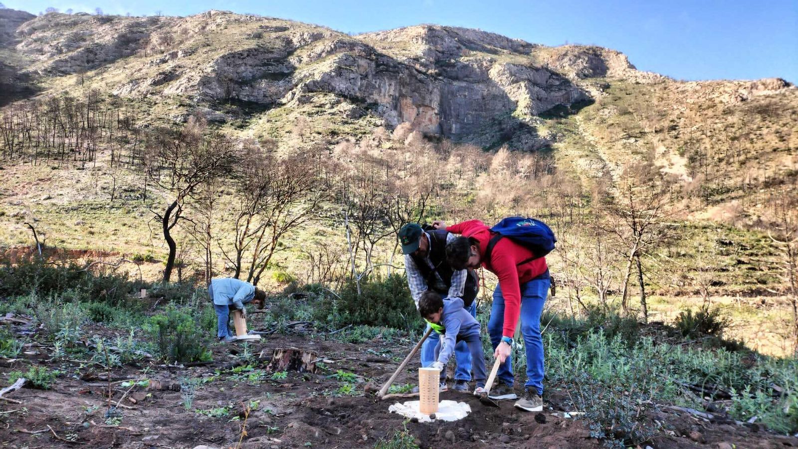 Una de las jornadas de trabajo del proyecto “Reforestación Jarapalos”. Una de las jornadas de trabajo del proyecto “Reforestación Jarapalos”.
