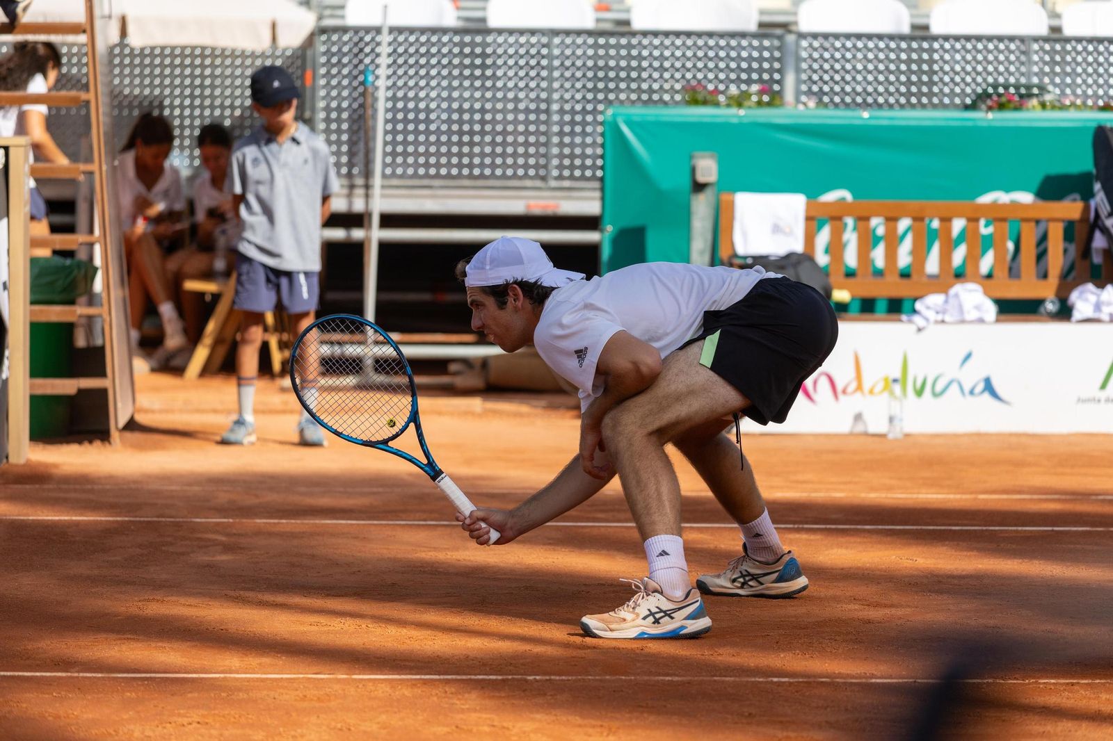 Llamas-López - Puyol-Mansilla  (1).jpg