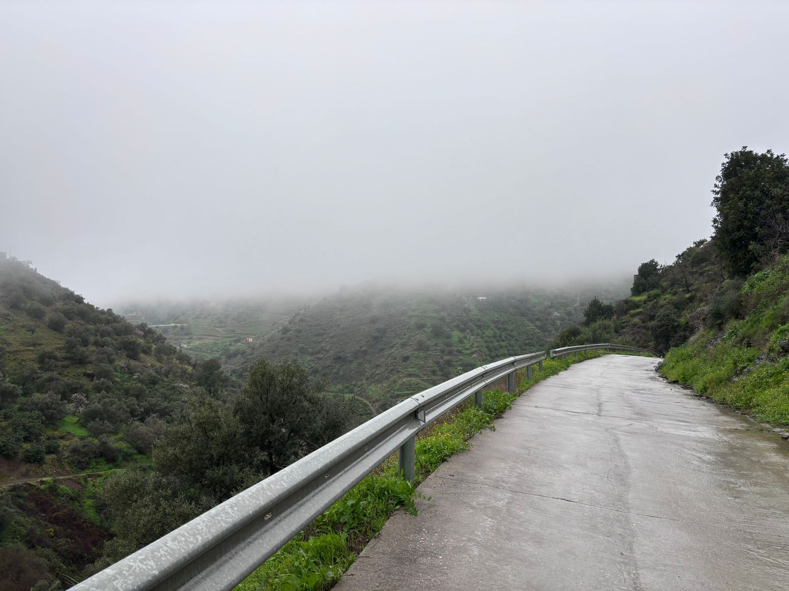 Camino donde desapareción la mujer de 35 años en Sayalonga.