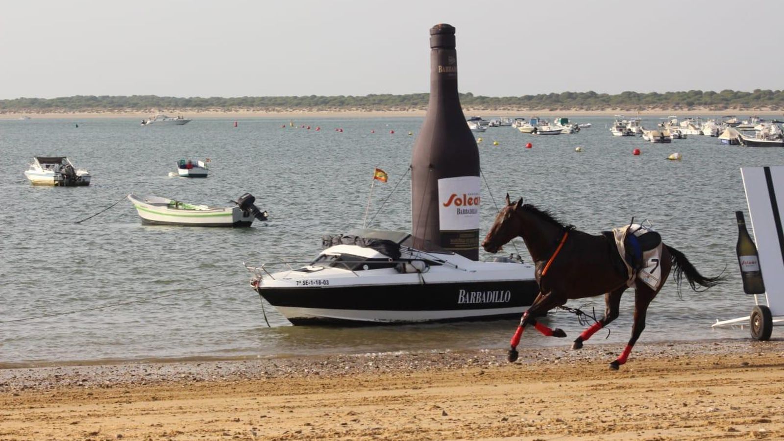 Oakmoor cabalga solo por la playa tras perder las manos segundos antes y derribar a la jokcey Cristina Pérez.