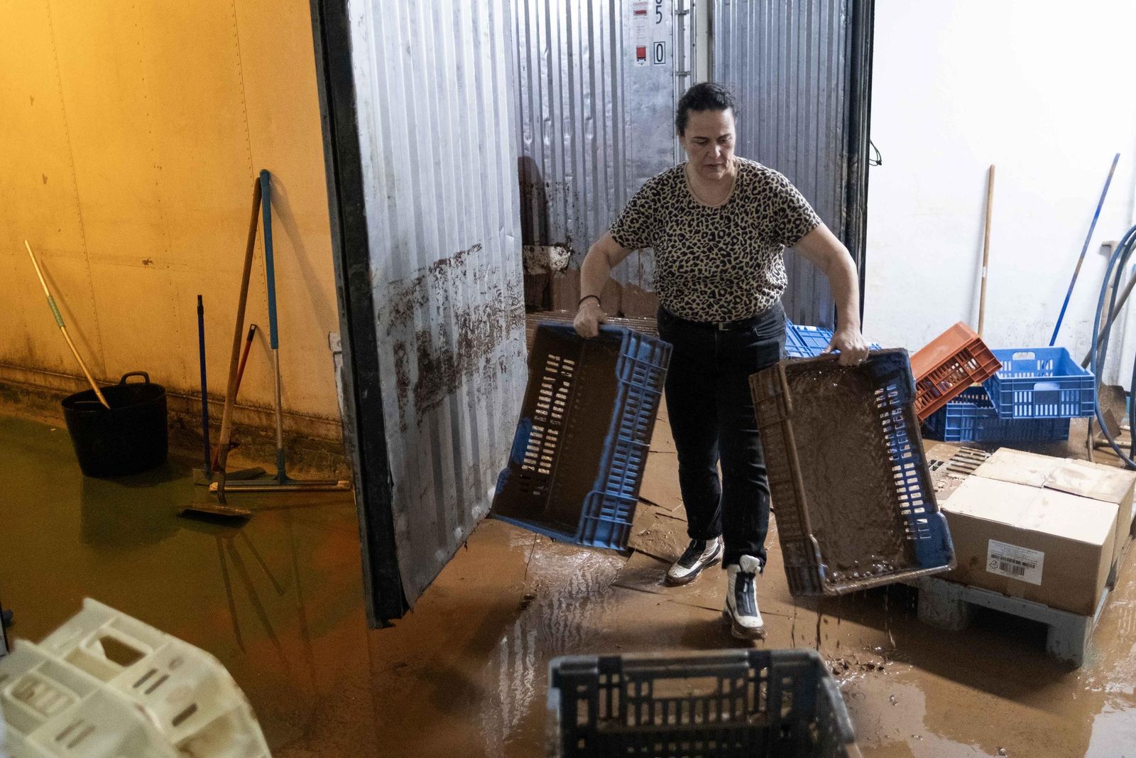 Riada de lodo y piedras en Jimera de Líbar, en fotos