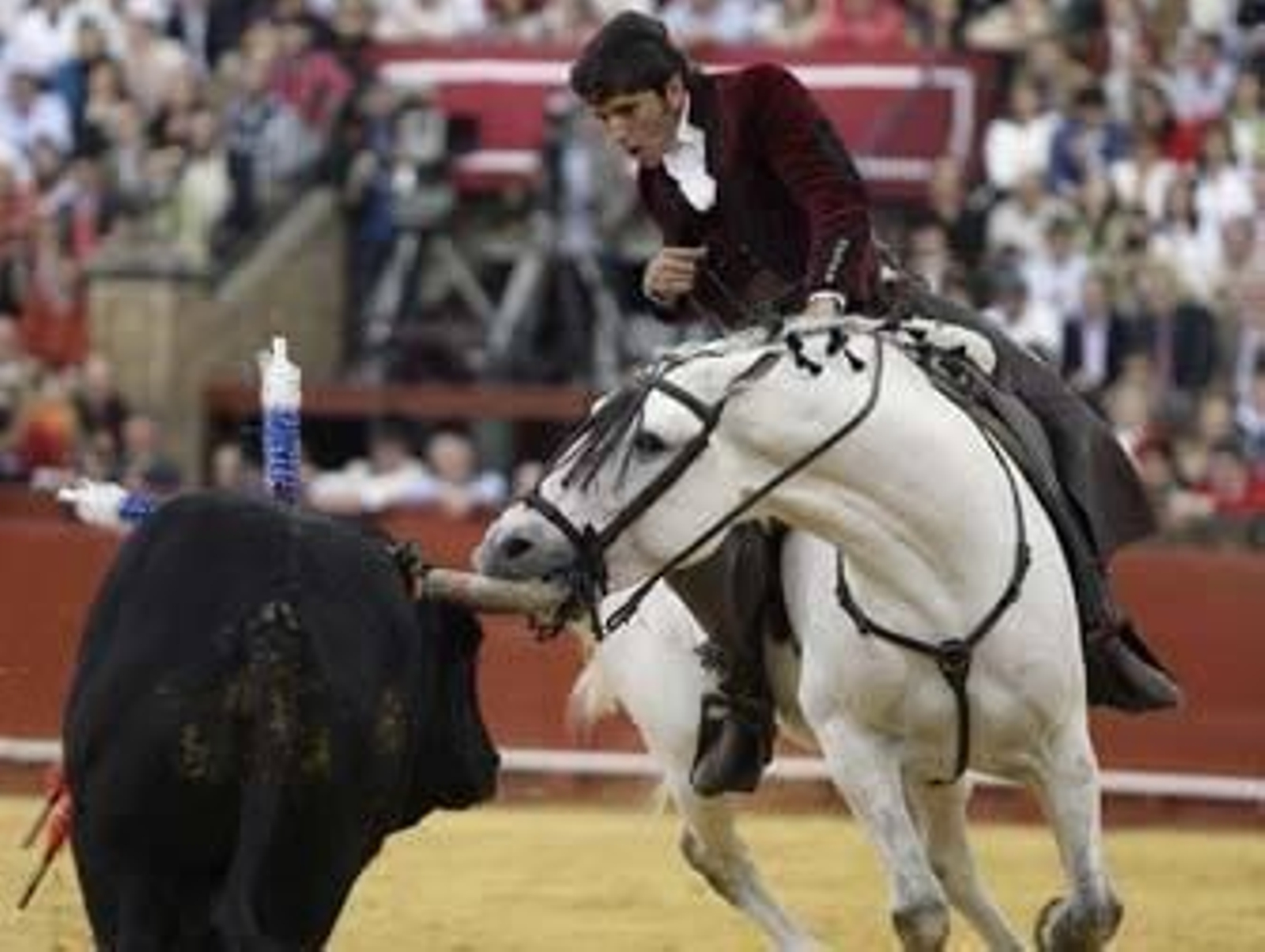 Un caballo más bravo que el toro